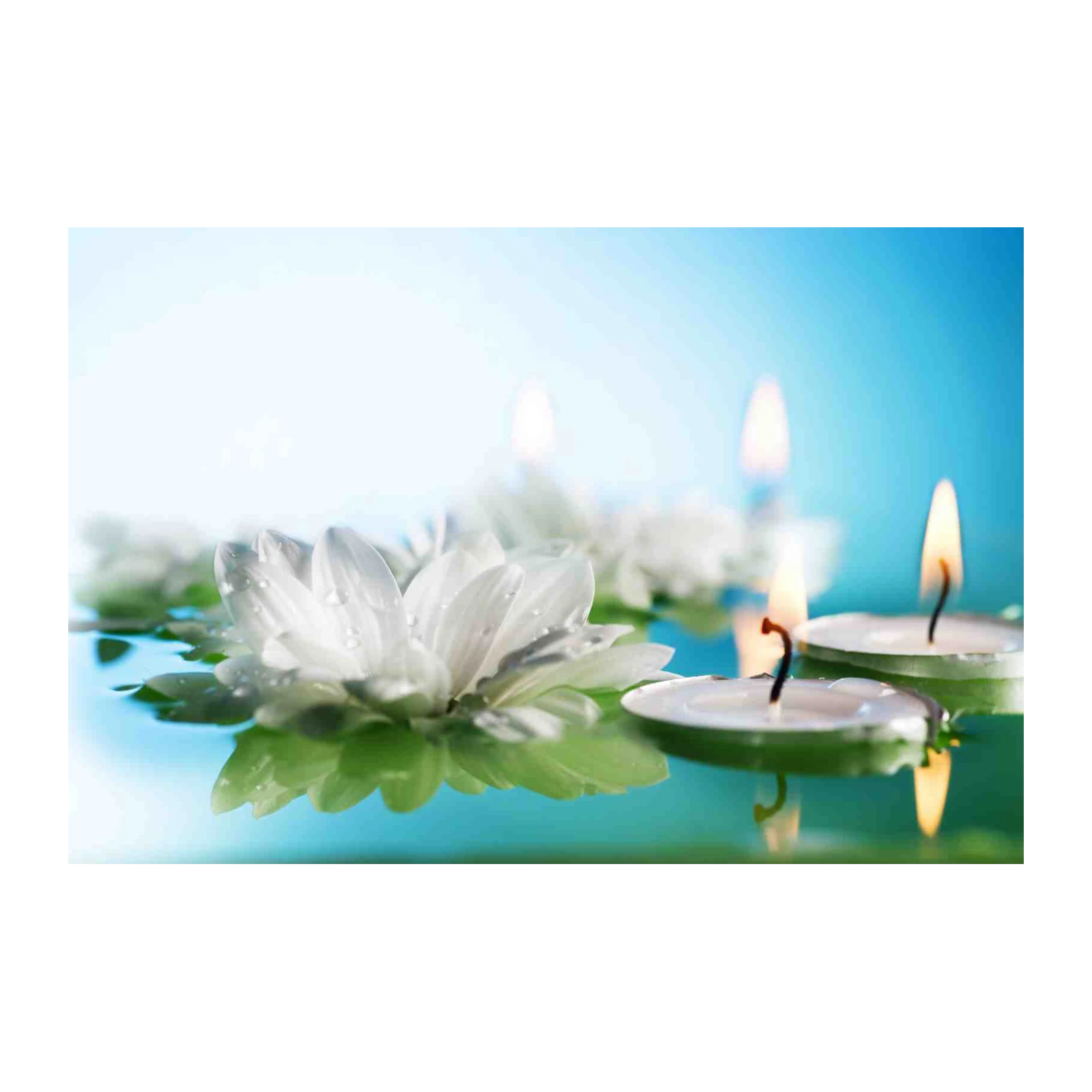 Serene White Flower & Candle Spa Wall Art
