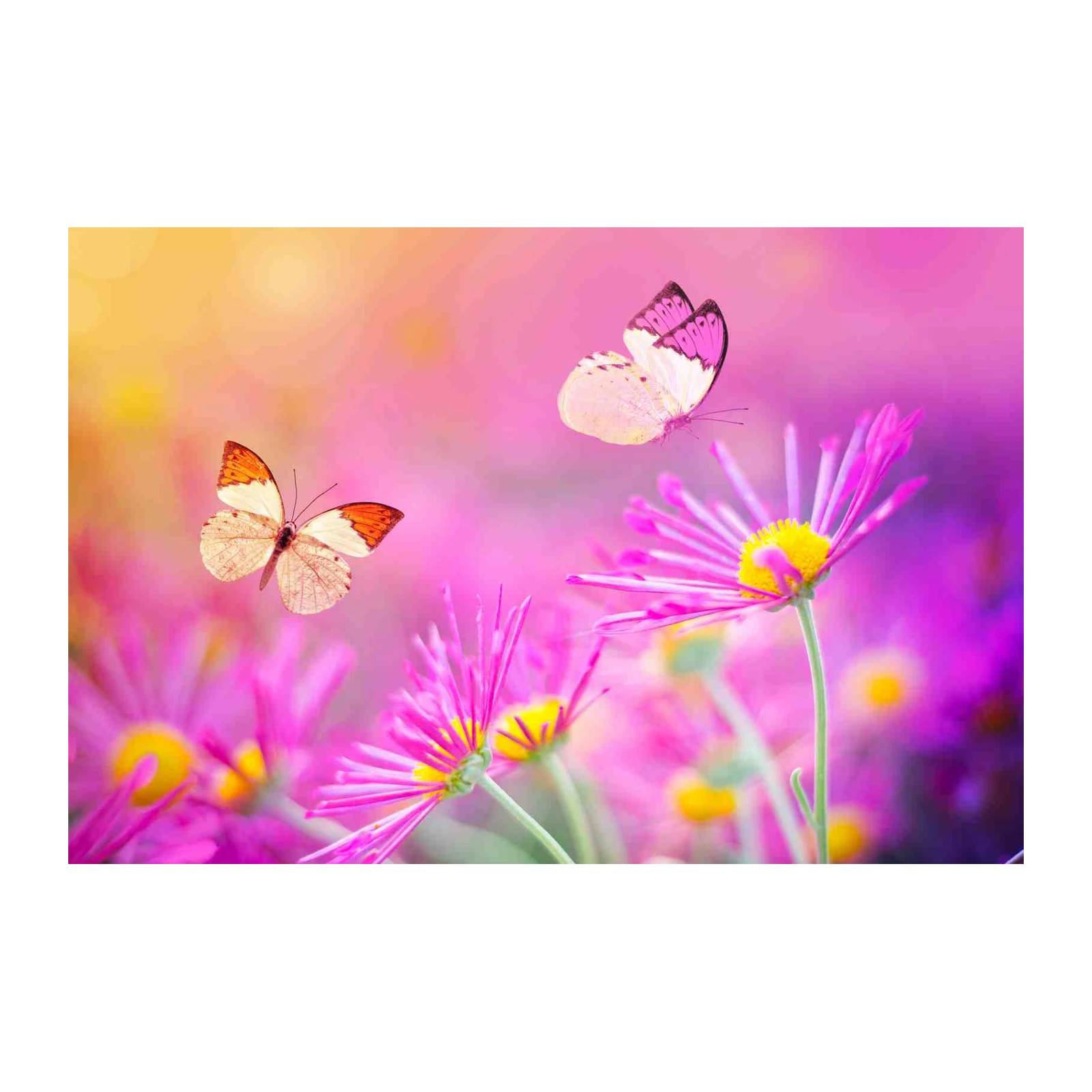 Dreamy Butterflies & Flowers Wall Art