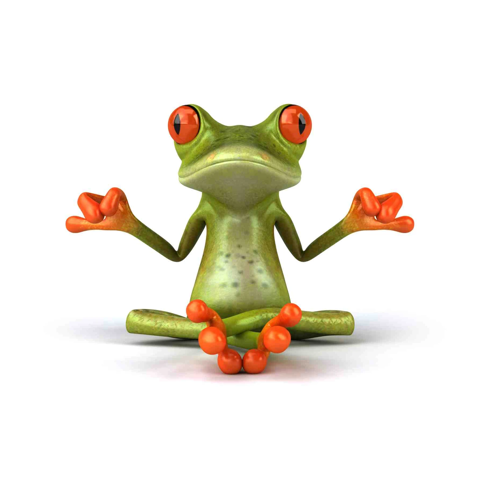 Zen Frog Yoga Meditation Wall Art