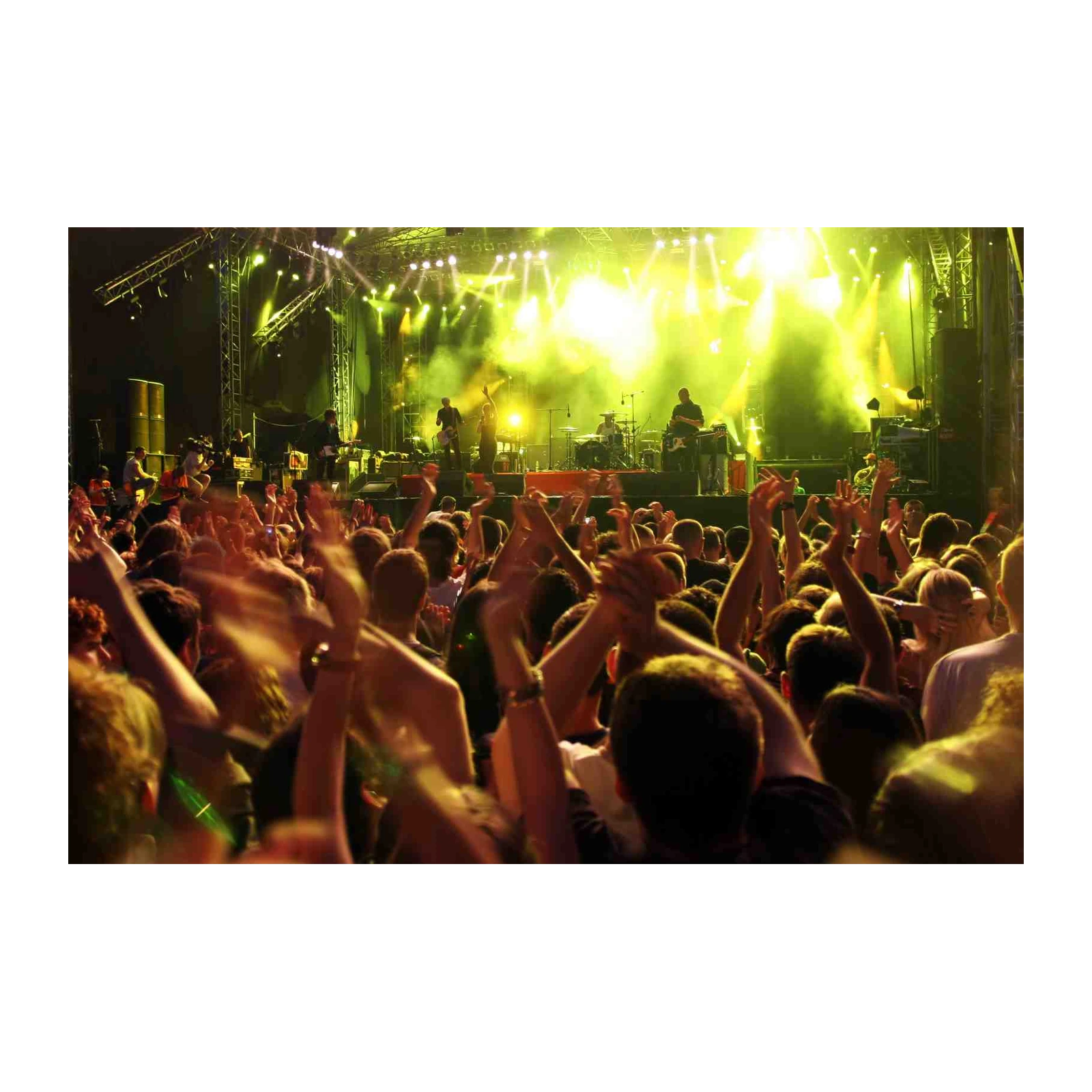Energetic Concert Crowd Wall Art