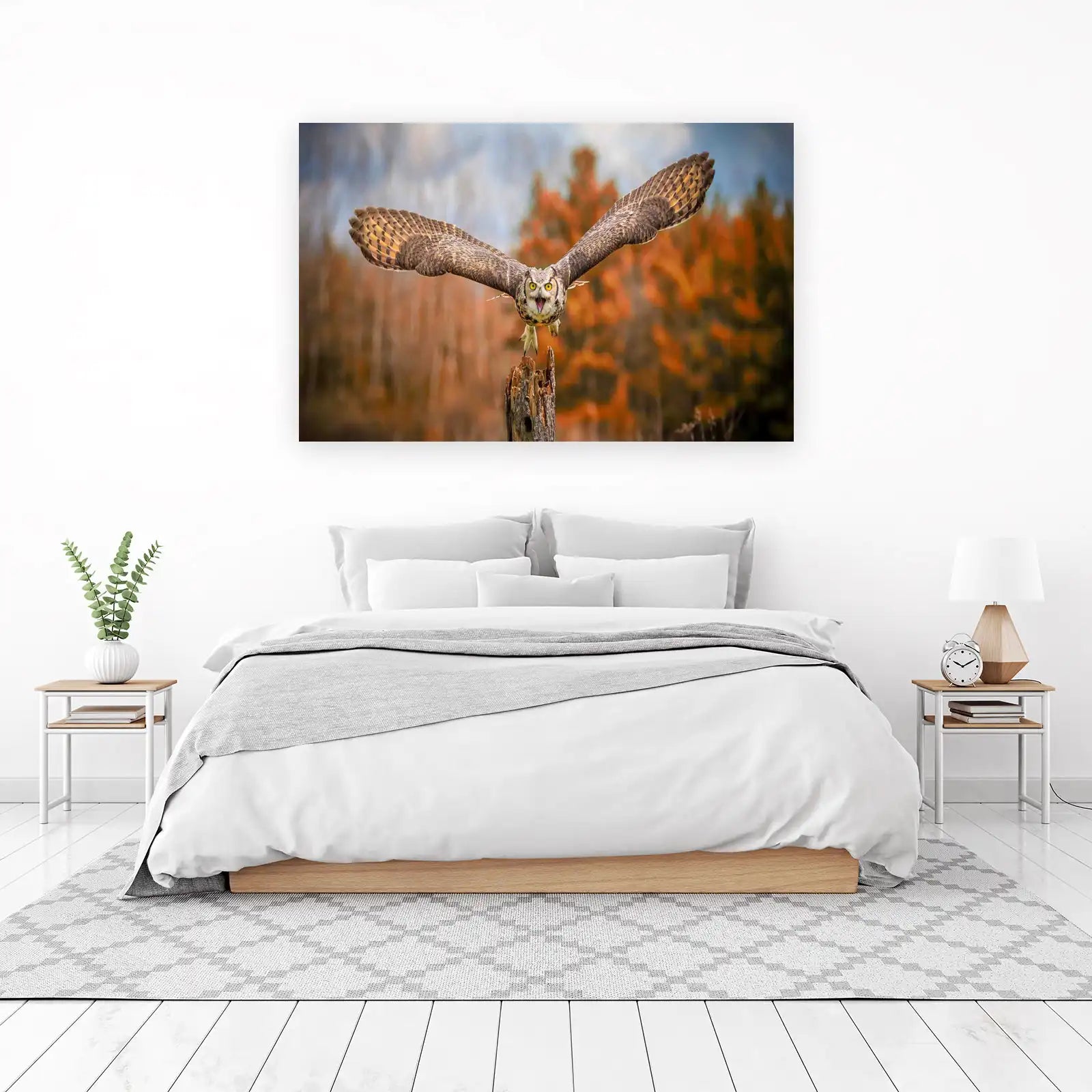 Majestic Owl in Flight Wall Art