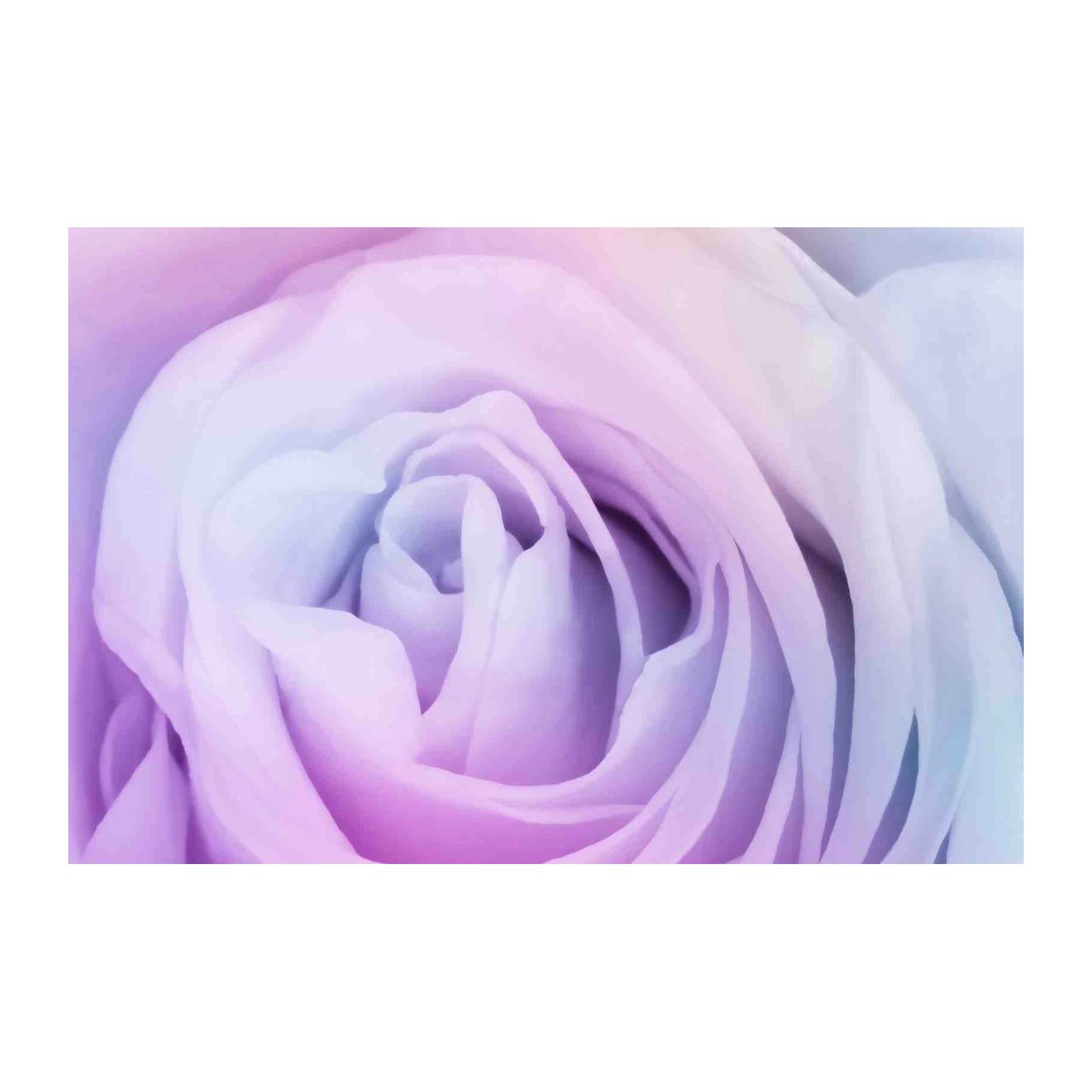 Dreamy Rose Gradient Pastel Wall Art