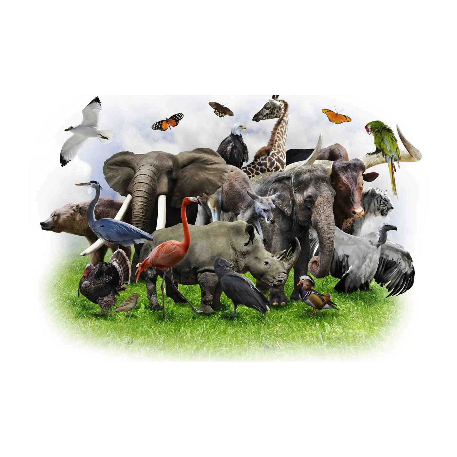 Vibrant Wildlife Assemblage Wall Art