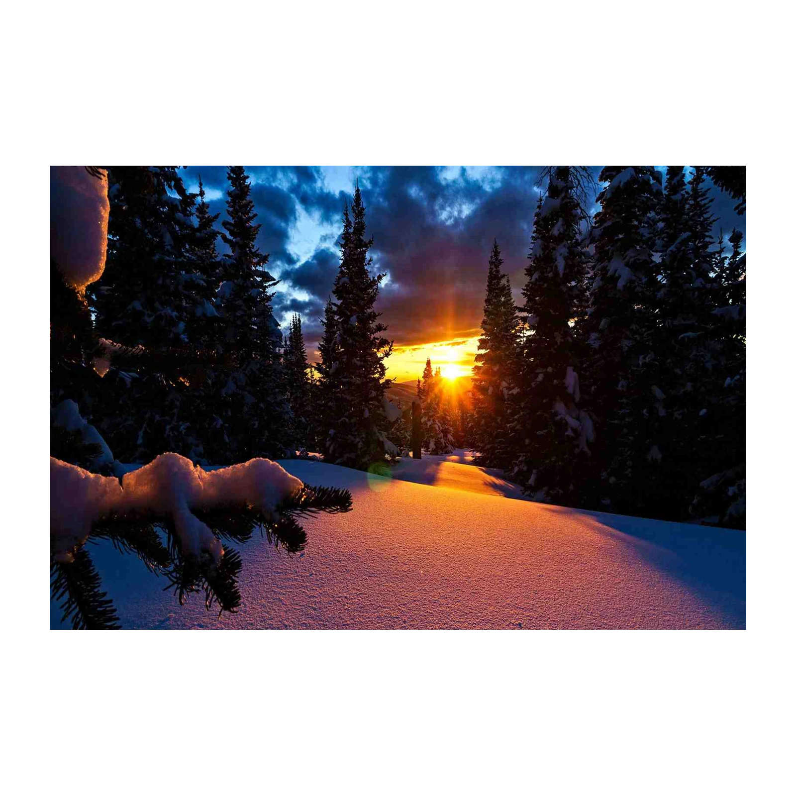 Winter Sunset Forest Landscape Wall Art