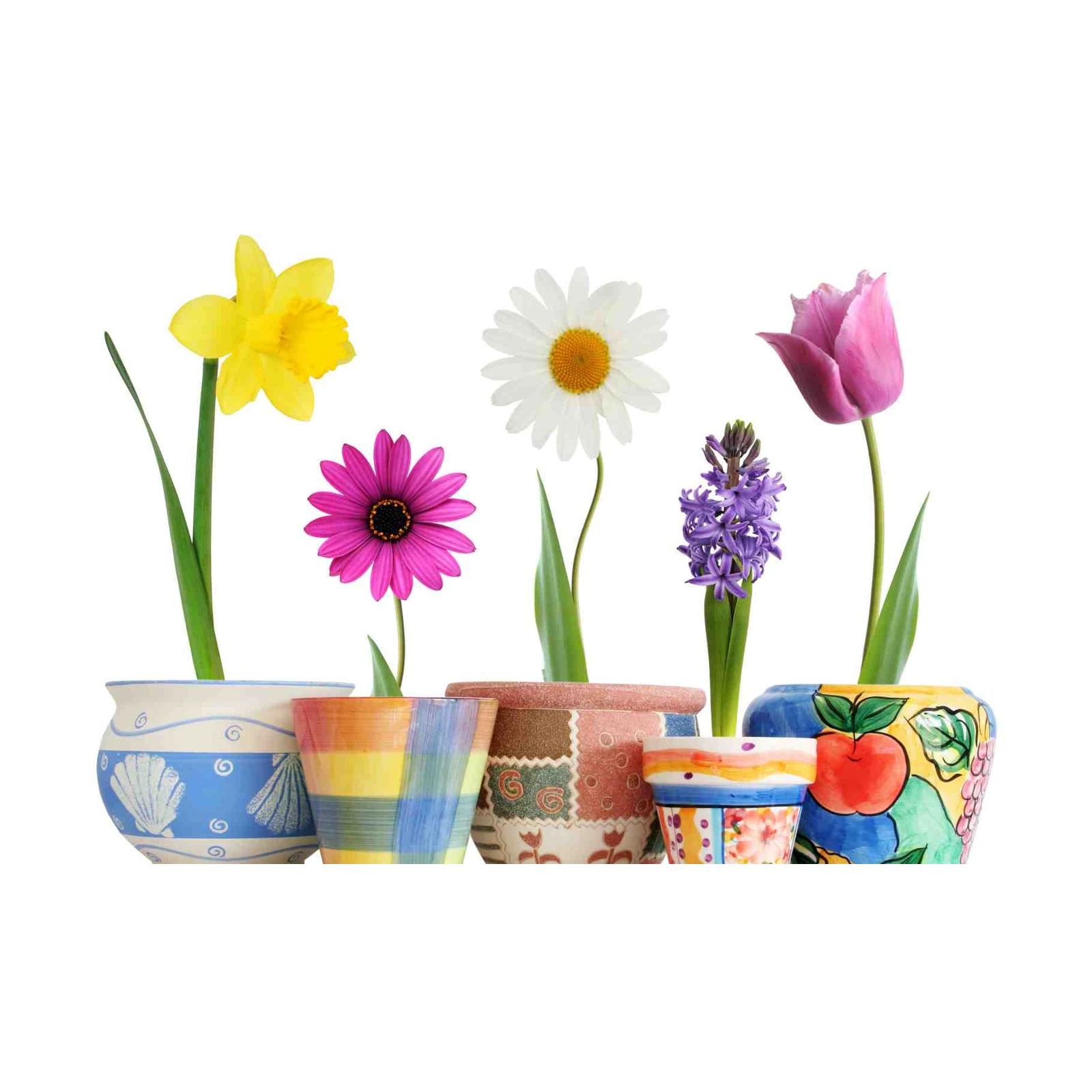 Vibrant Spring Flowers Art Wall Art