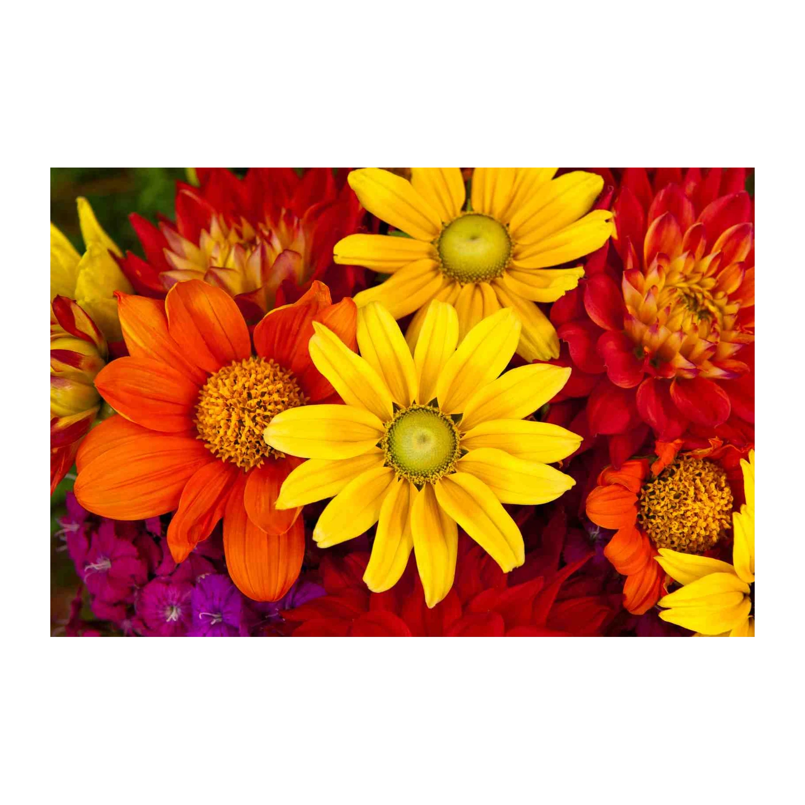 Vibrant Floral Burst Wall Art