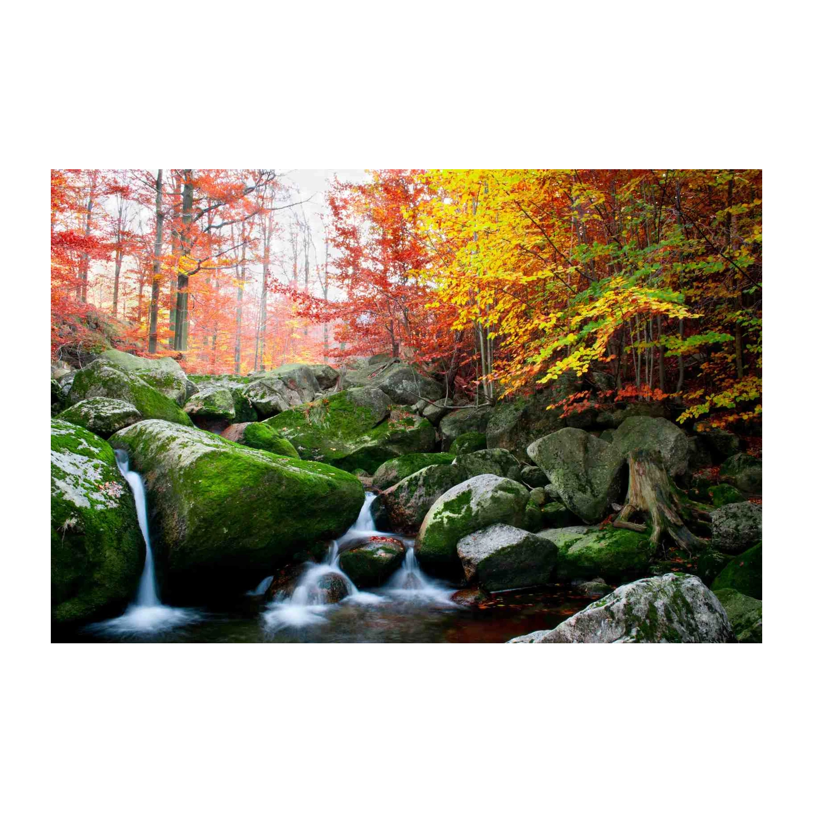 Autumn Forest Waterfall Vibrant Colors Wall Art
