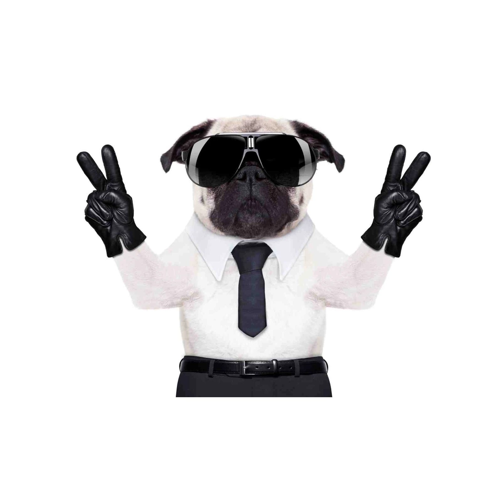 Cool Pug in Shades & Tie Wall Art