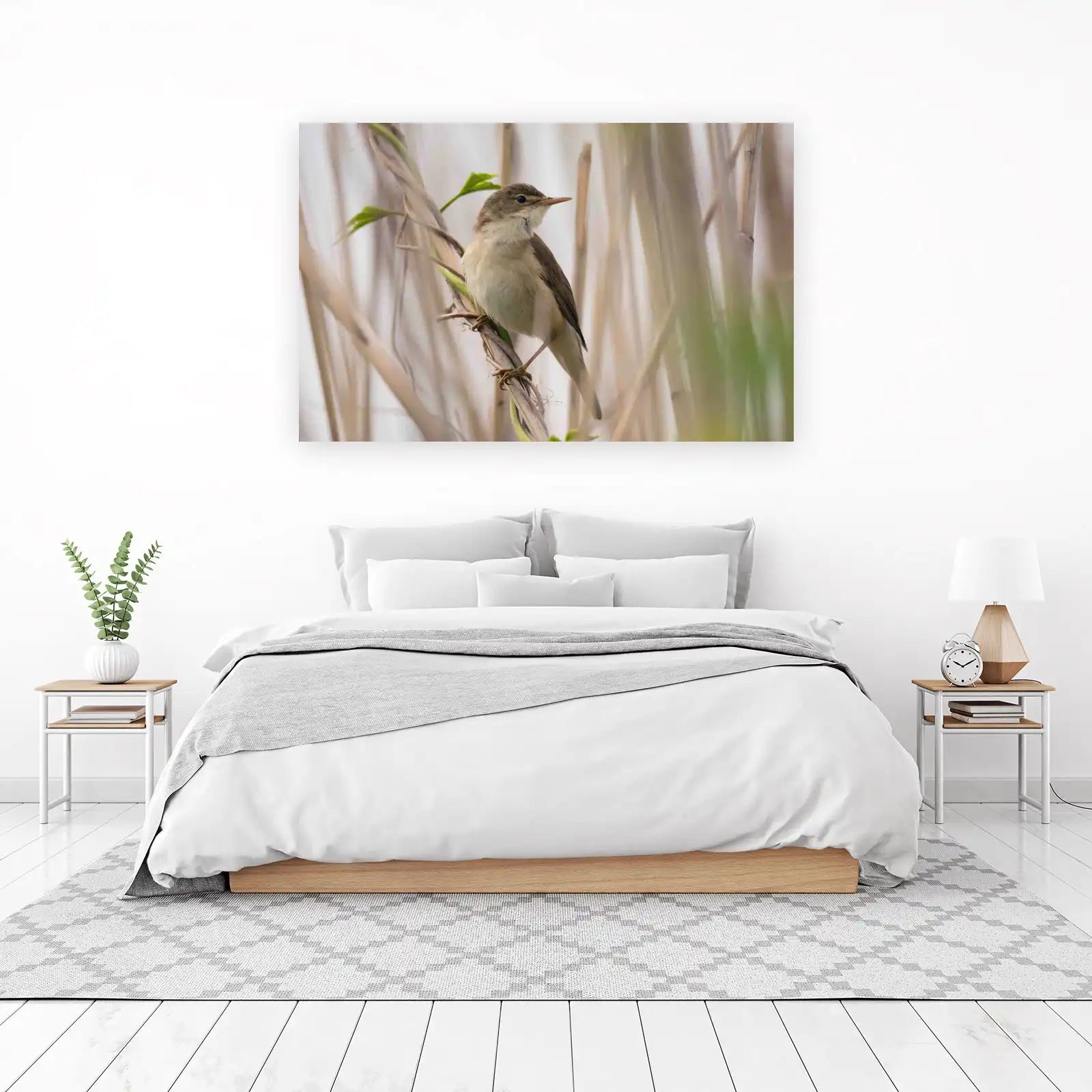 Serene Reed Warbler Bird Nature Wall Art