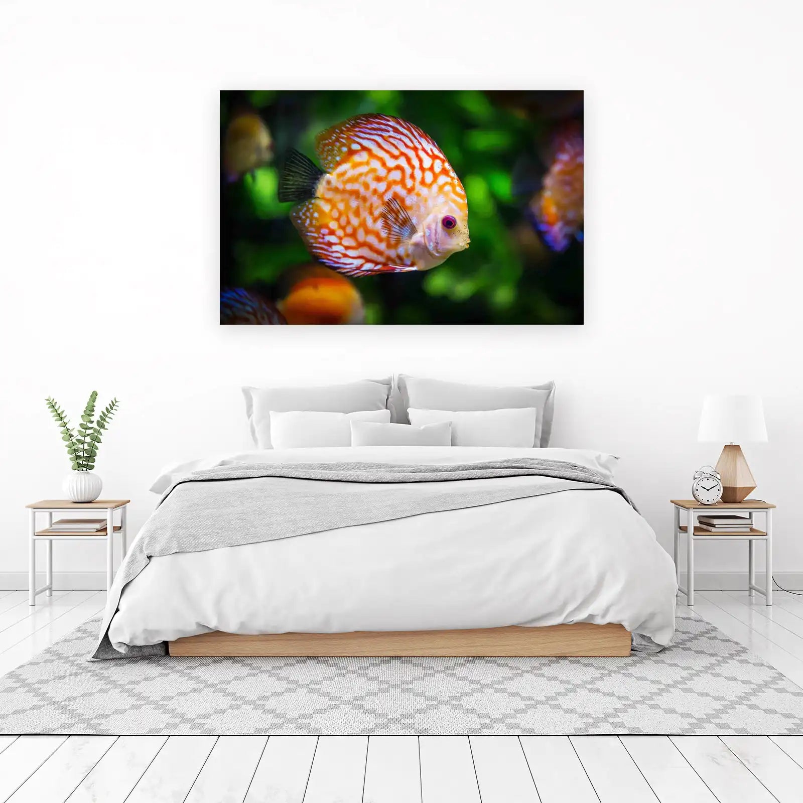 Vibrant Discus Fish Coral Reef Wall Art