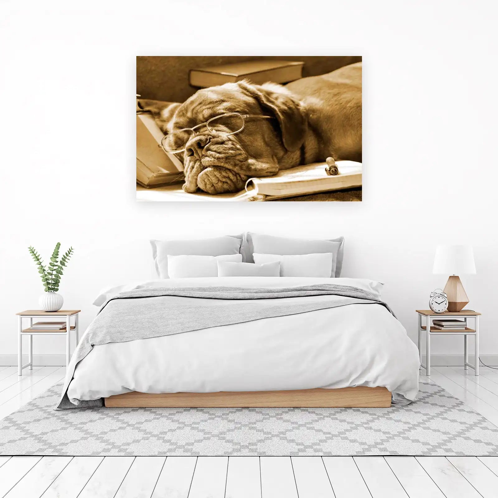 Wise Old Dog Reading Books Wall Art