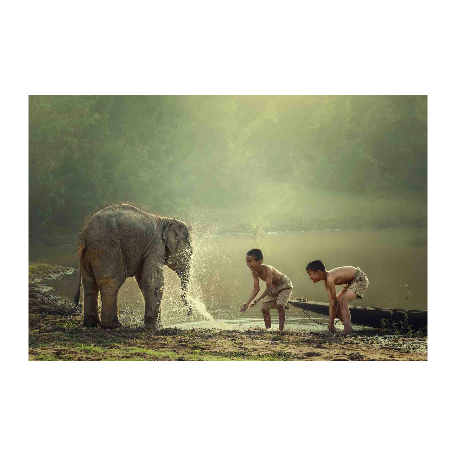 Joyful Elephant & Kids Wildlife Adventure Wall Art