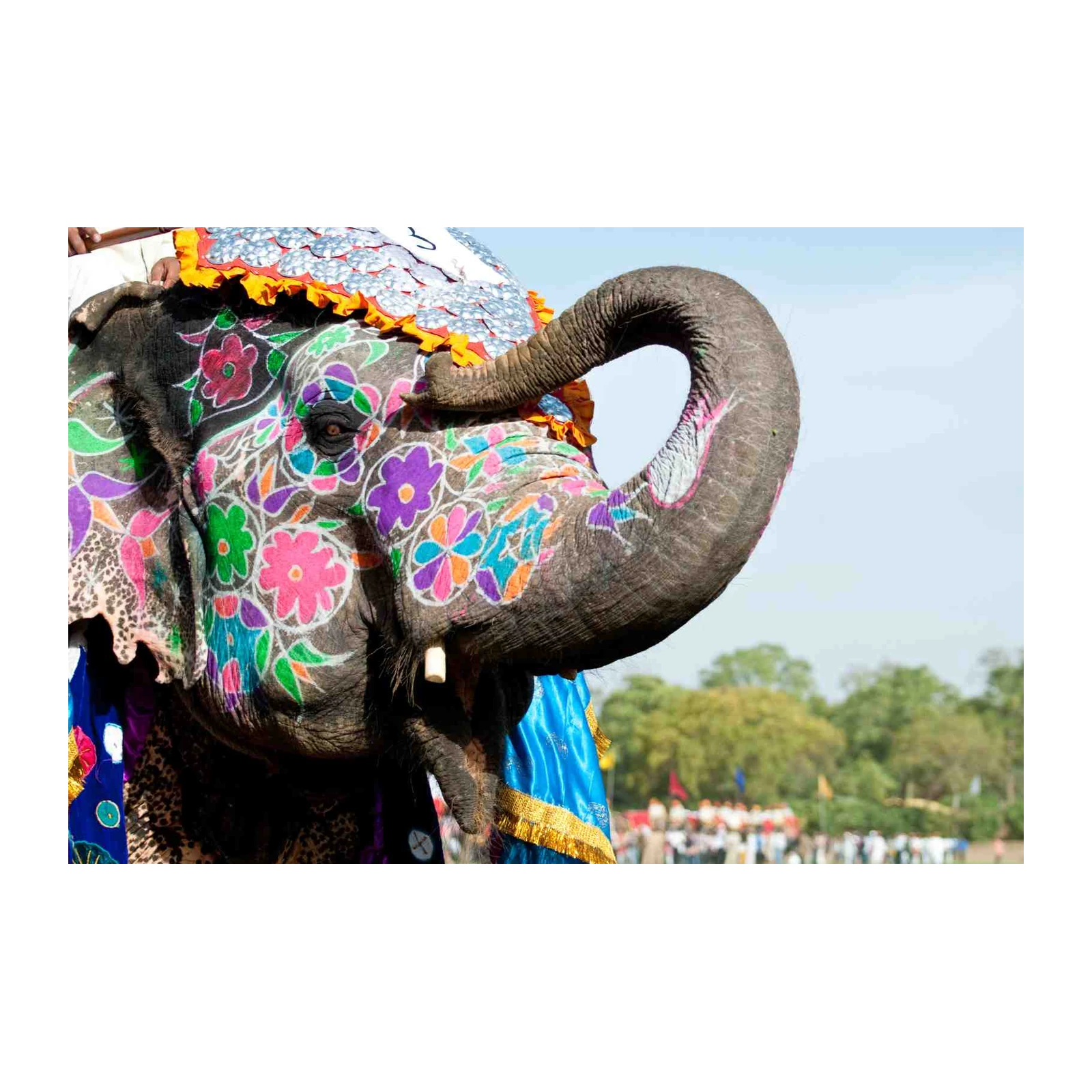 Vibrant Elephant Festival Art Wall Art