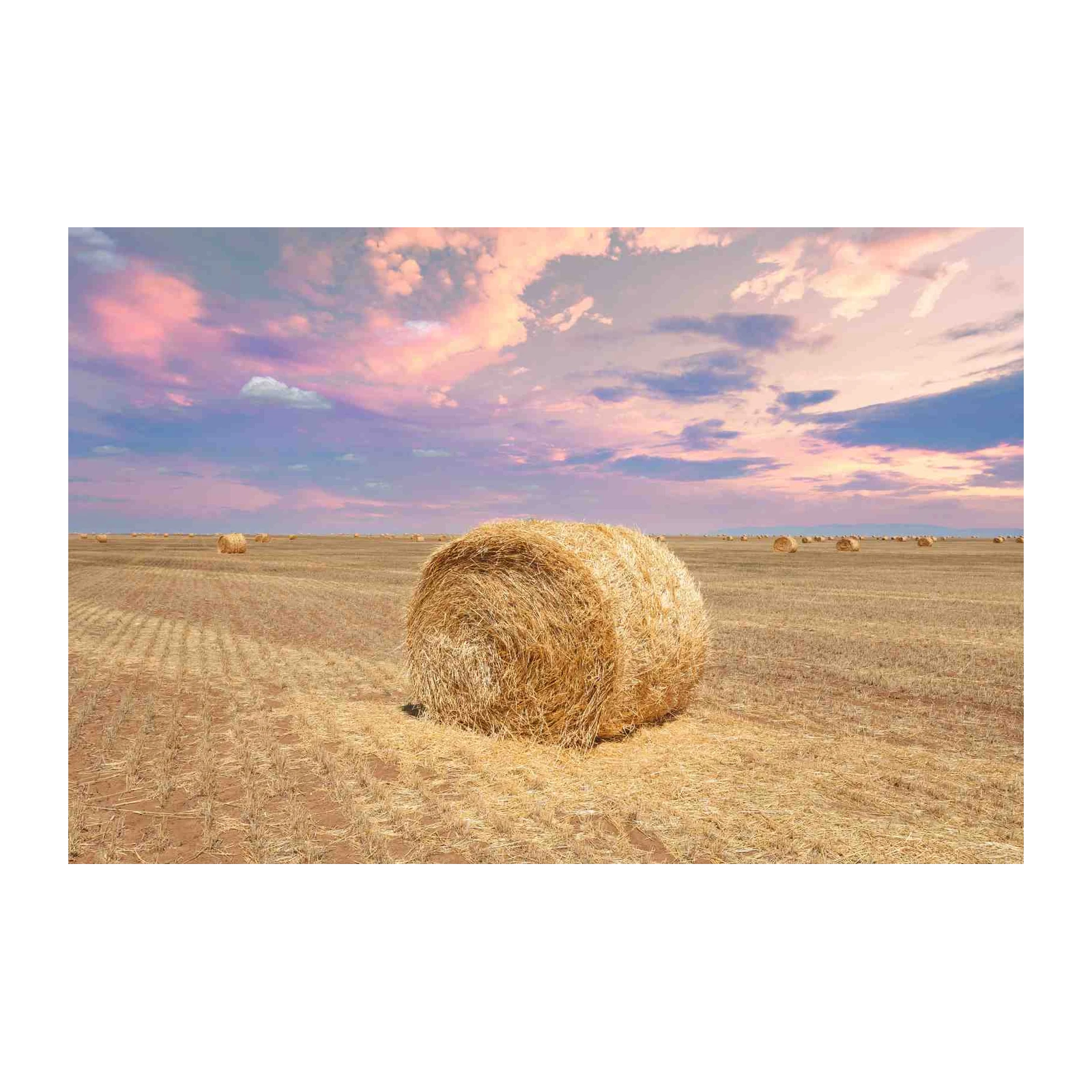 Golden Hay Bales Sunset Landscape Wall Art