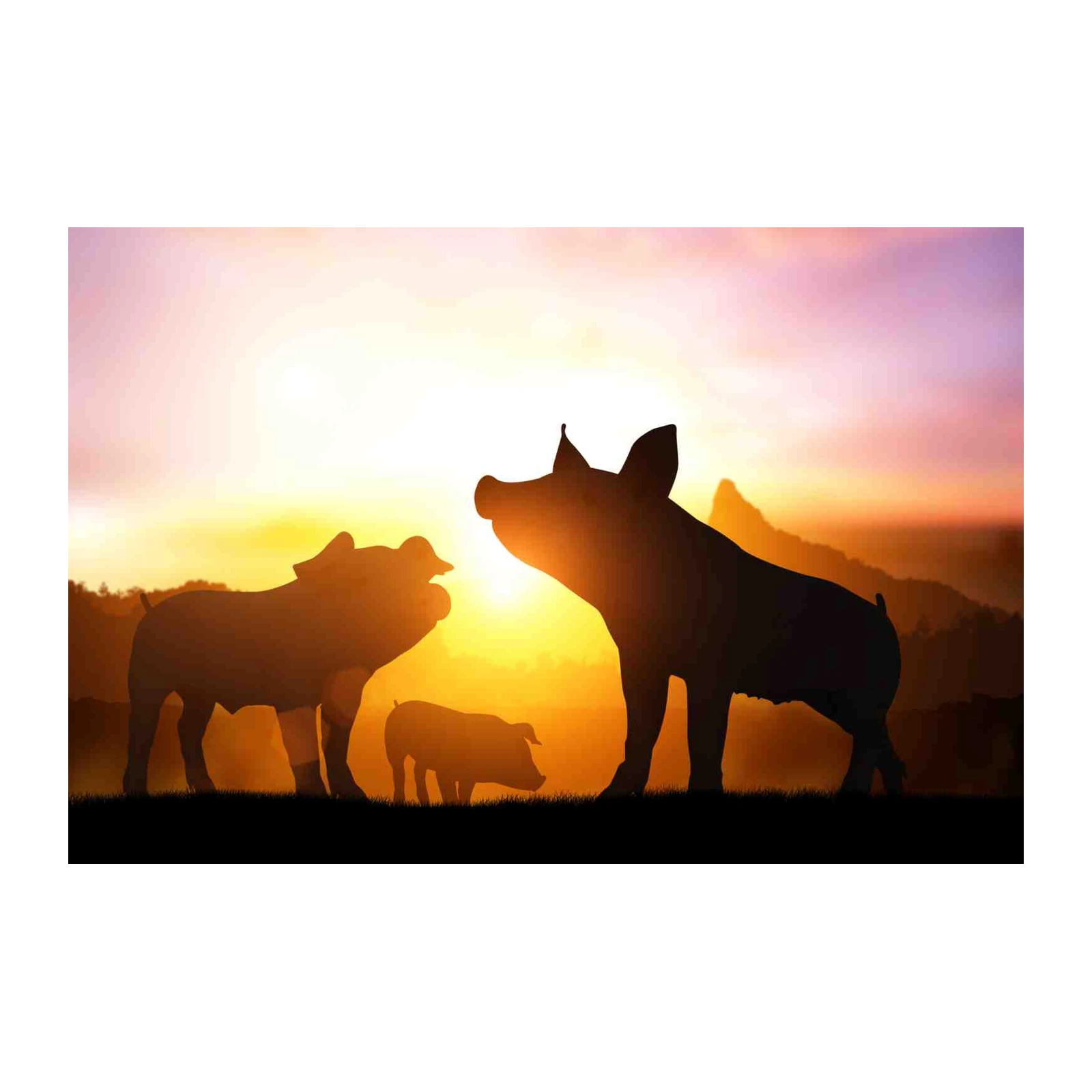 Three Pigs Sunset Silhouette Wall Art
