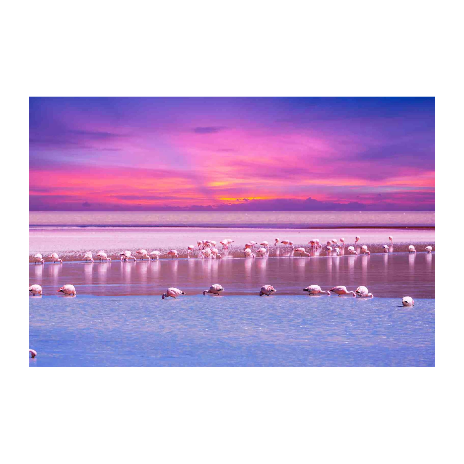 Pink Flamingo Sunset Serenity Wall Art