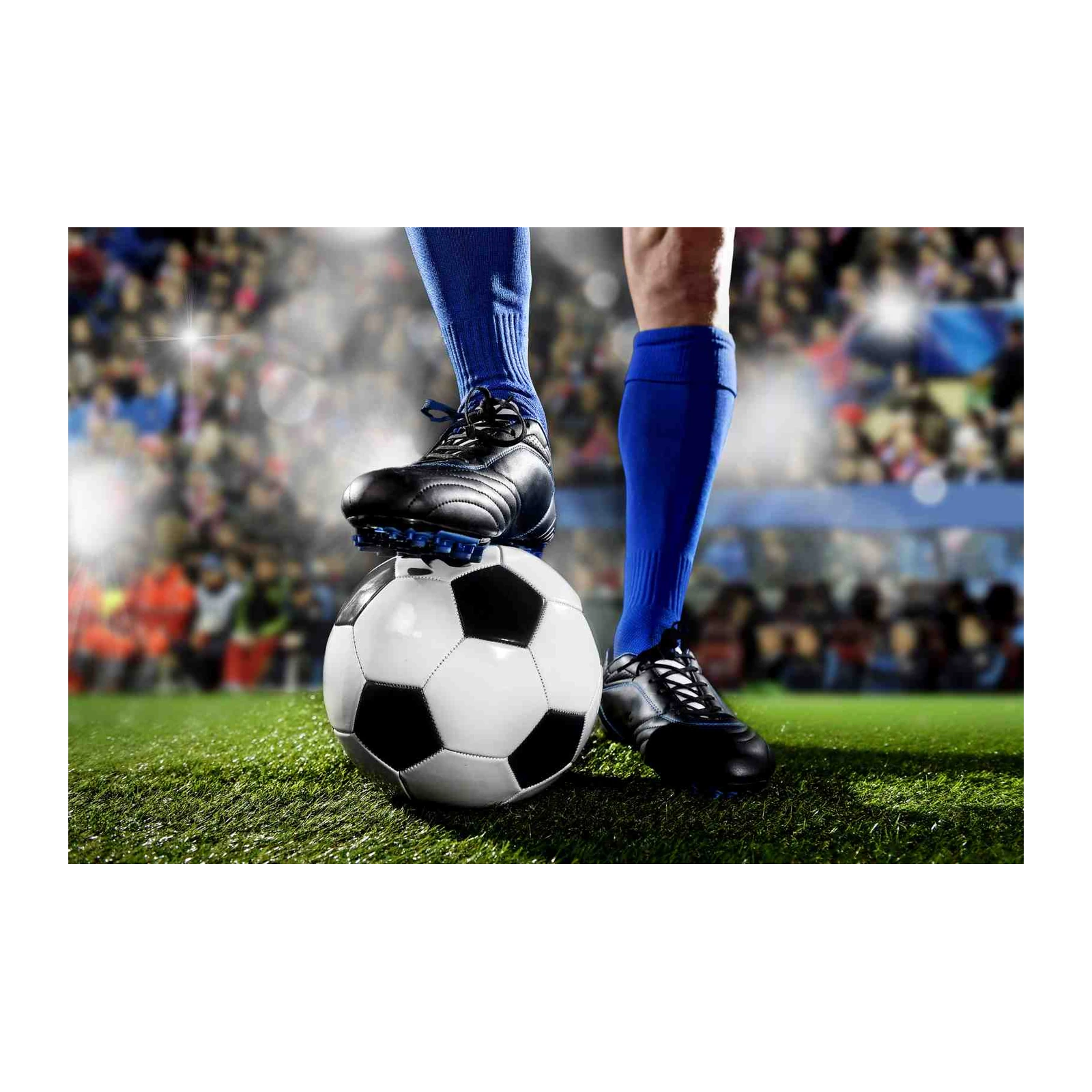 Soccer Goal Celebration Wall Art