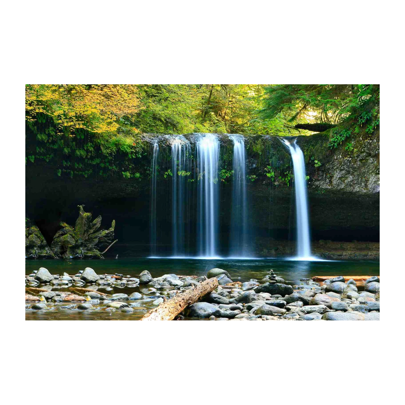 Serene Waterfall Forest Wall Art