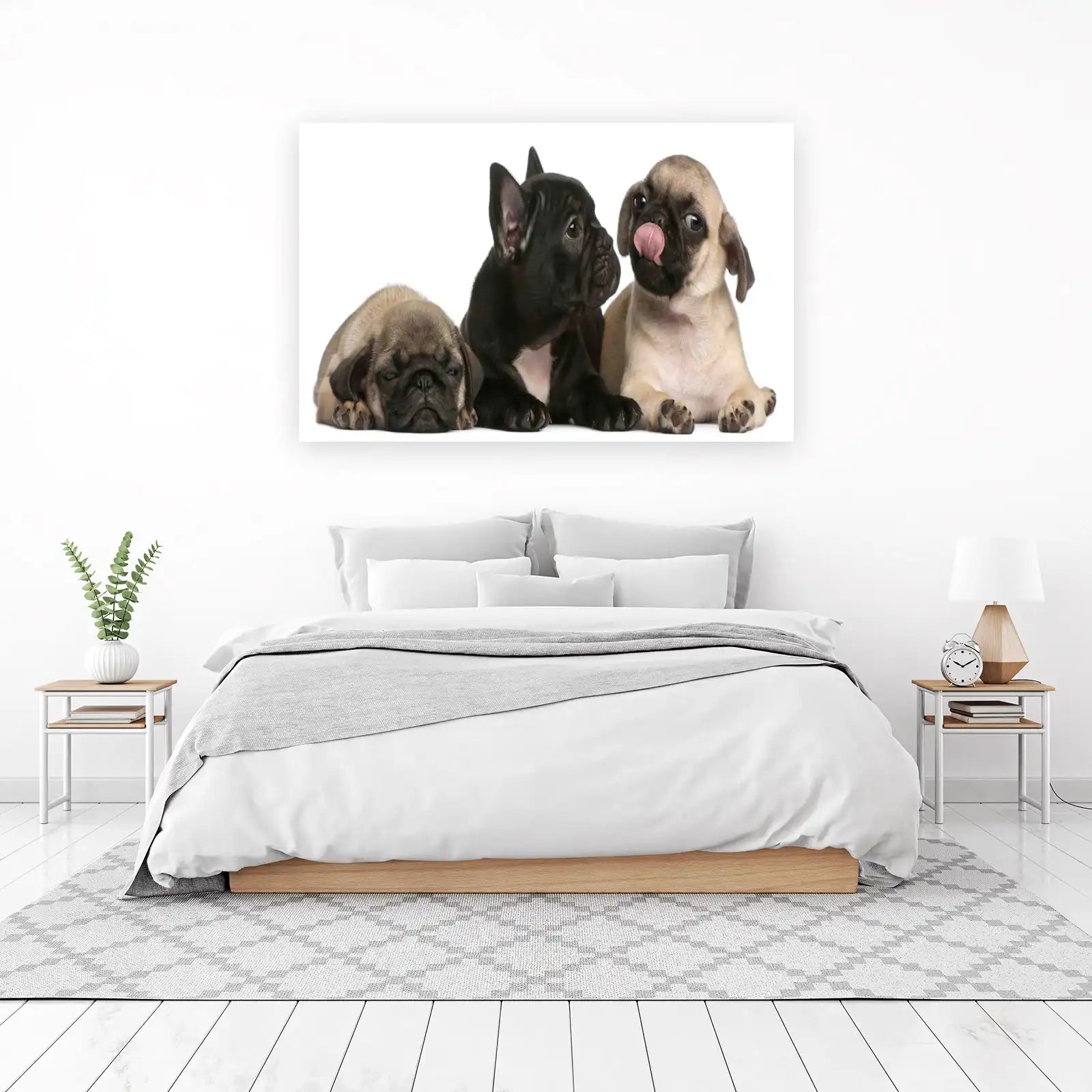 Adorable Puppy Trio French Bulldog Pug Wall Art