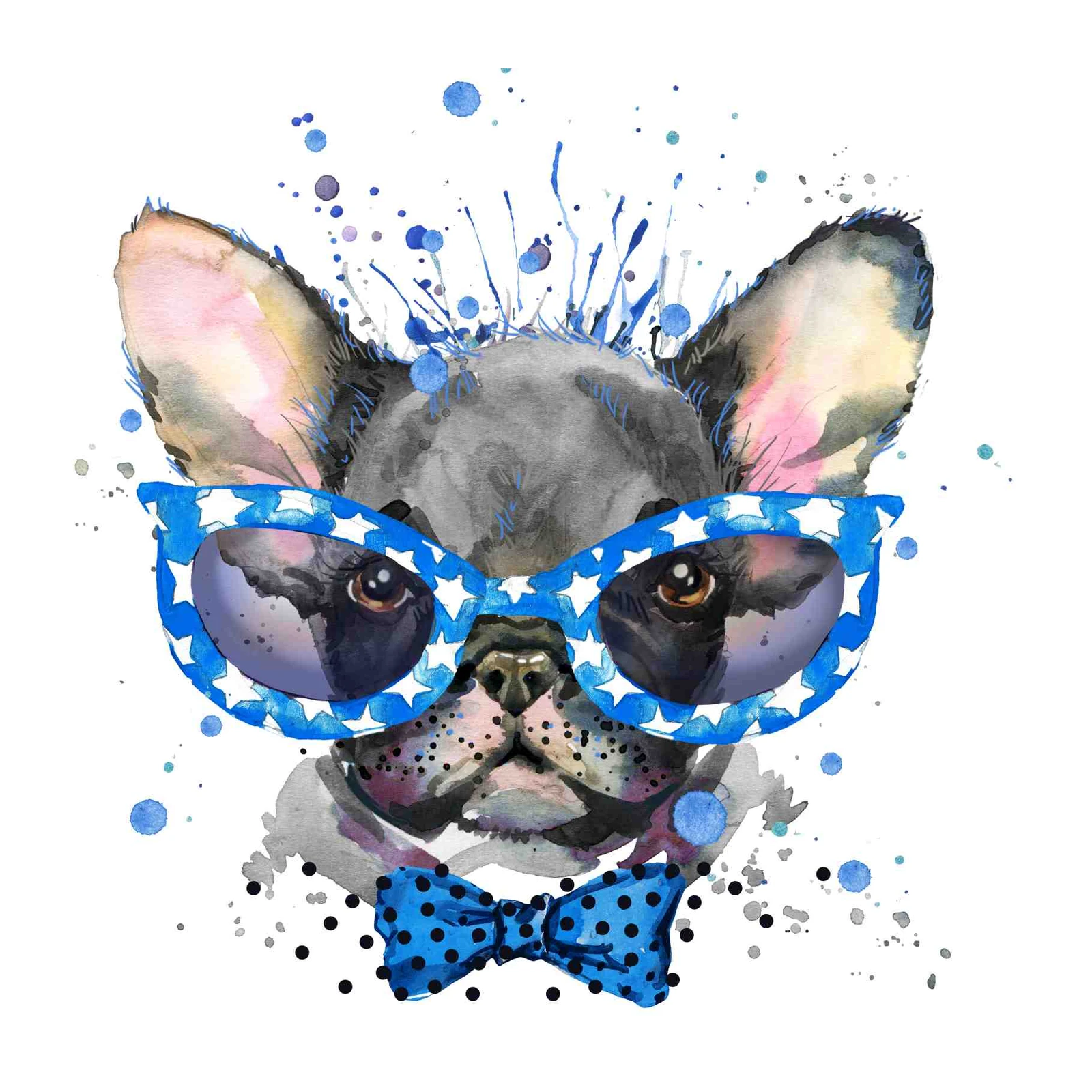 Cool Frenchie Dog with Star Glasses Wall Art