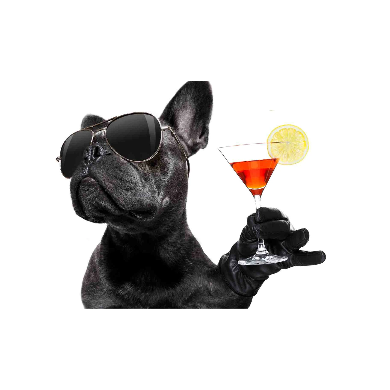 Cool French Bulldog Martini Wall Art