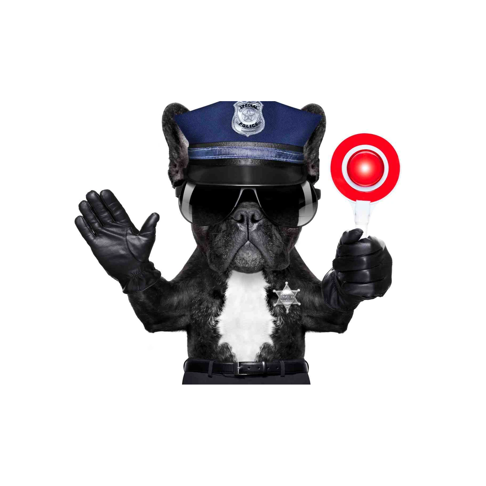 Stop Right There! French Bulldog Officer Wall Art
