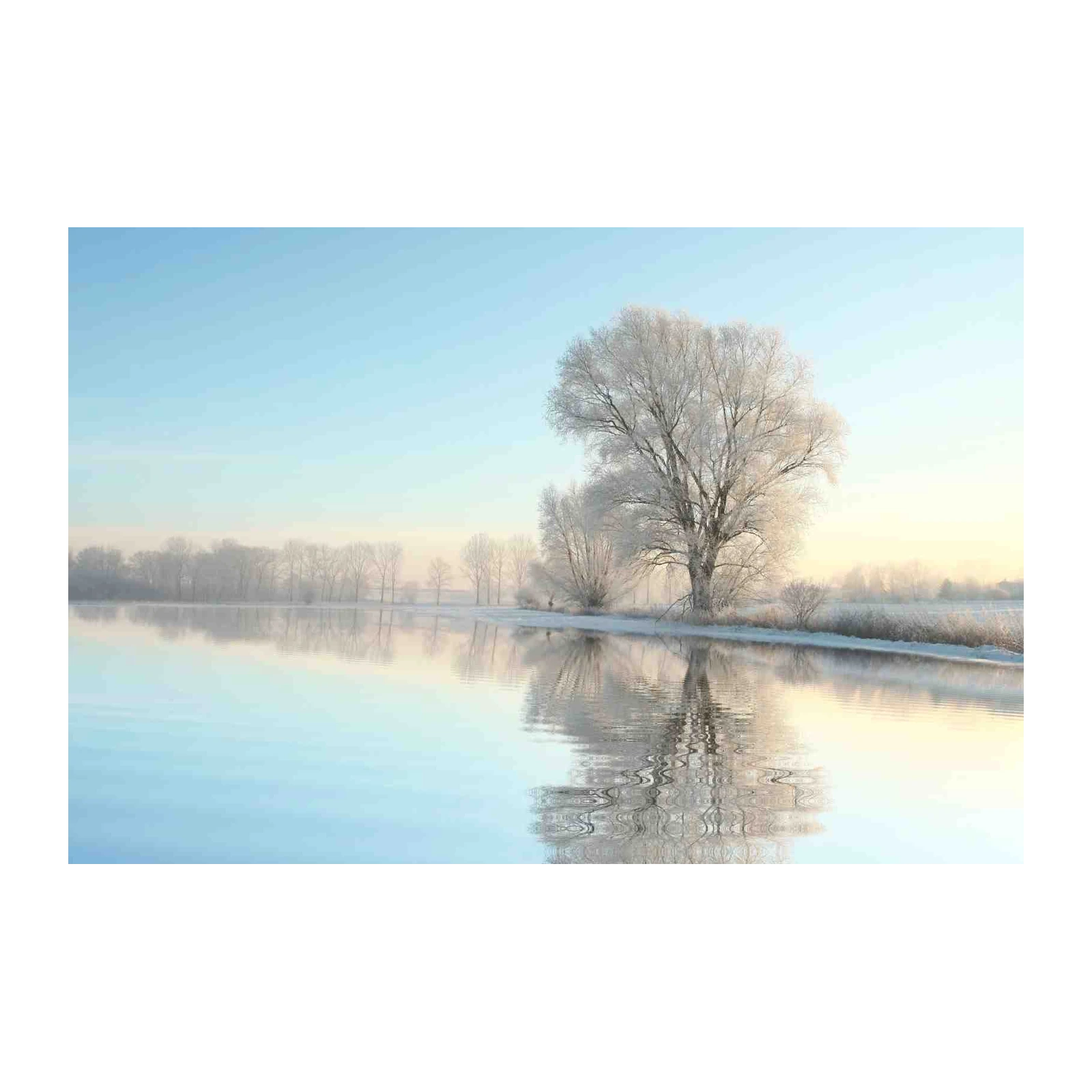 Serene Winter Landscape Wall Art