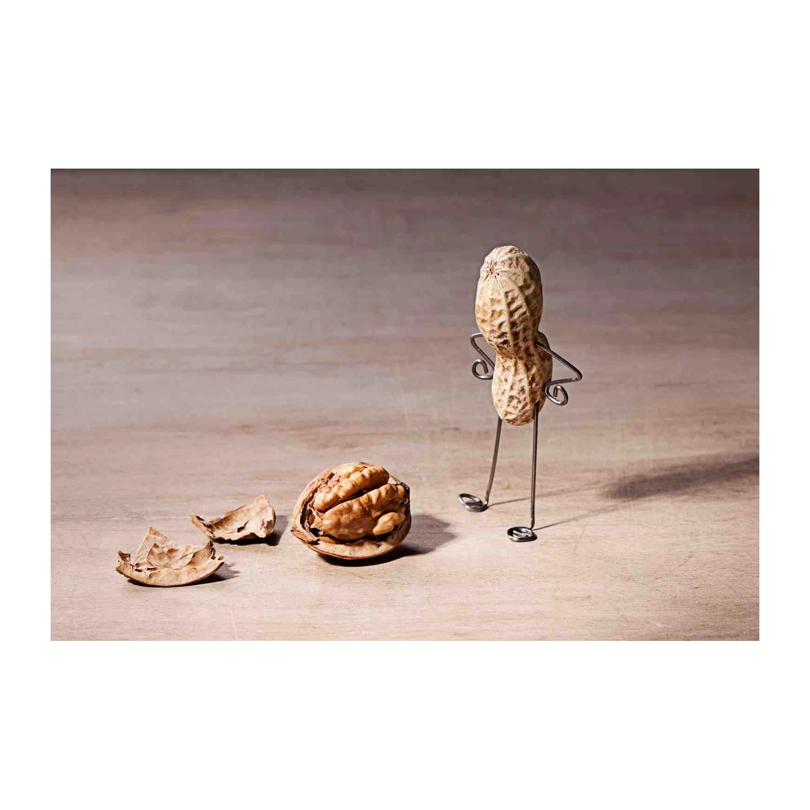 Whimsical Nutty Friends Wall Art Wall Art