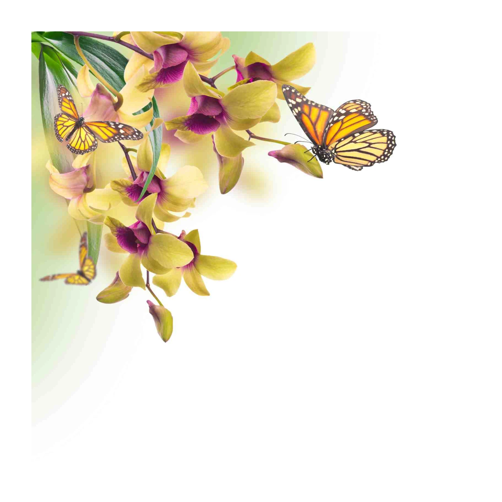 Yellow Orchid & Monarch Butterfly Wall Art