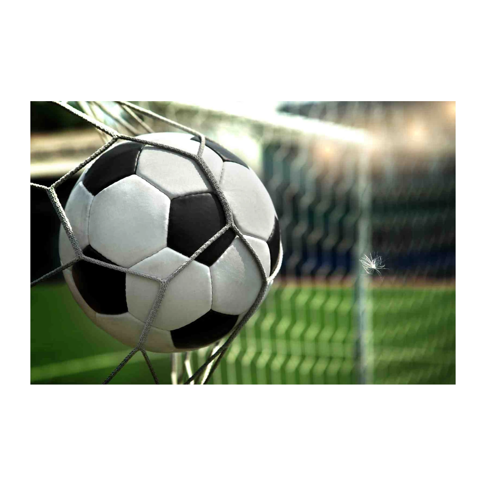 Goal! Soccer Ball in Net Wall Art