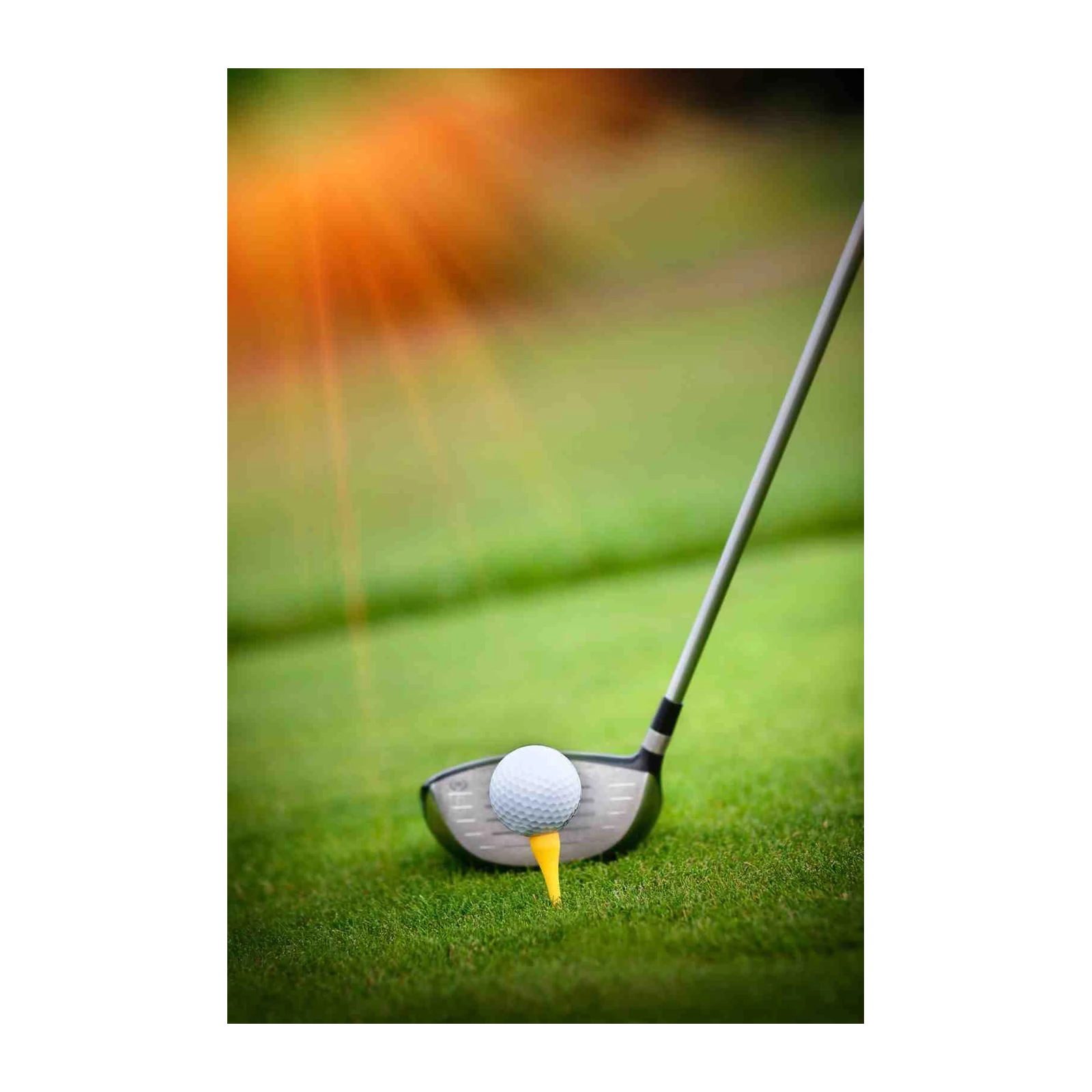 Golf Driver & Ball Wall Art - Sport Decor