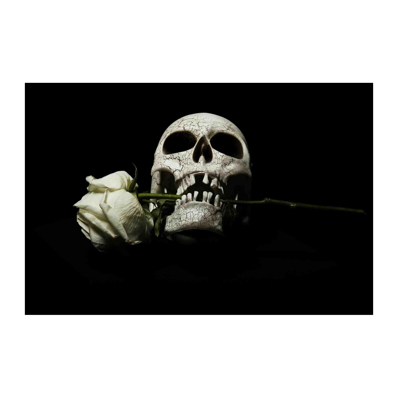 Gothic Skull & Rose Wall Art | Dark Art Decor