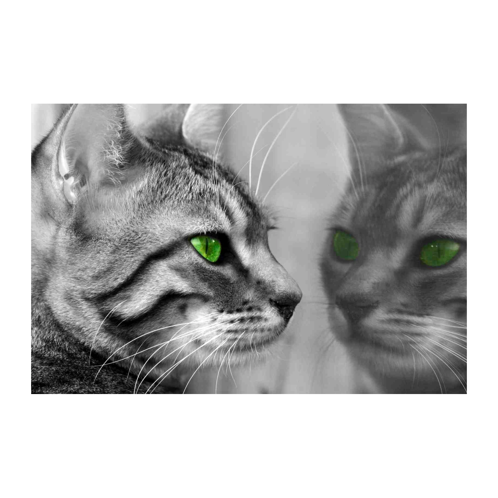 Mystic Green Eyes Cat Portrait Wall Art