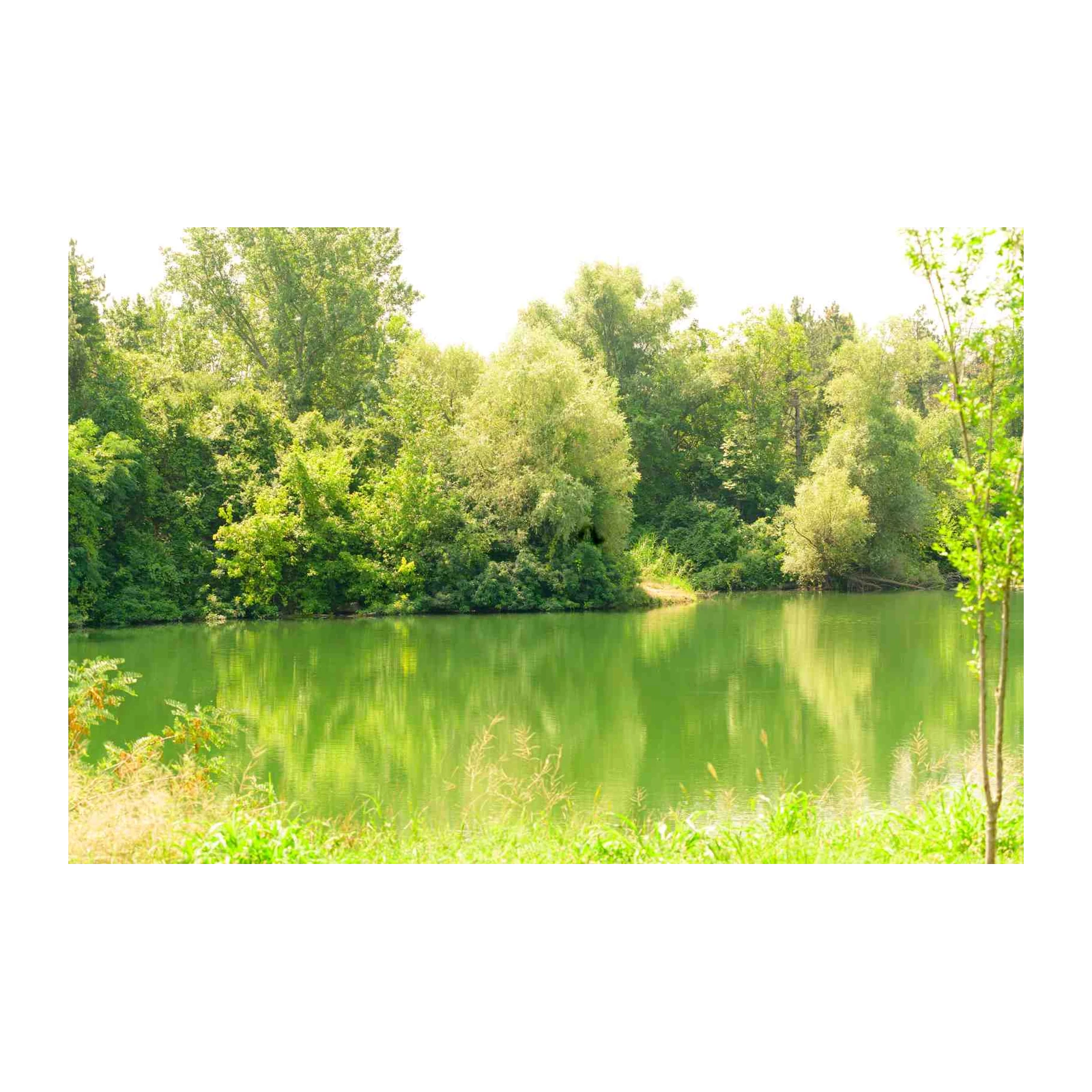 Tranquil Lakeside Serenity Wall Art