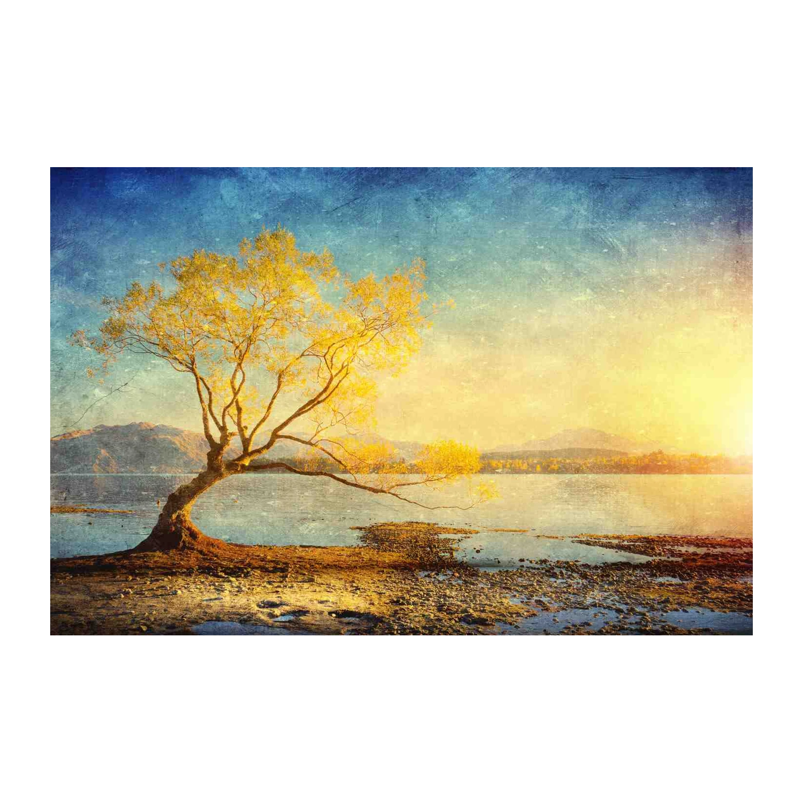 Golden Willow Lakeside Serenity Wall Art