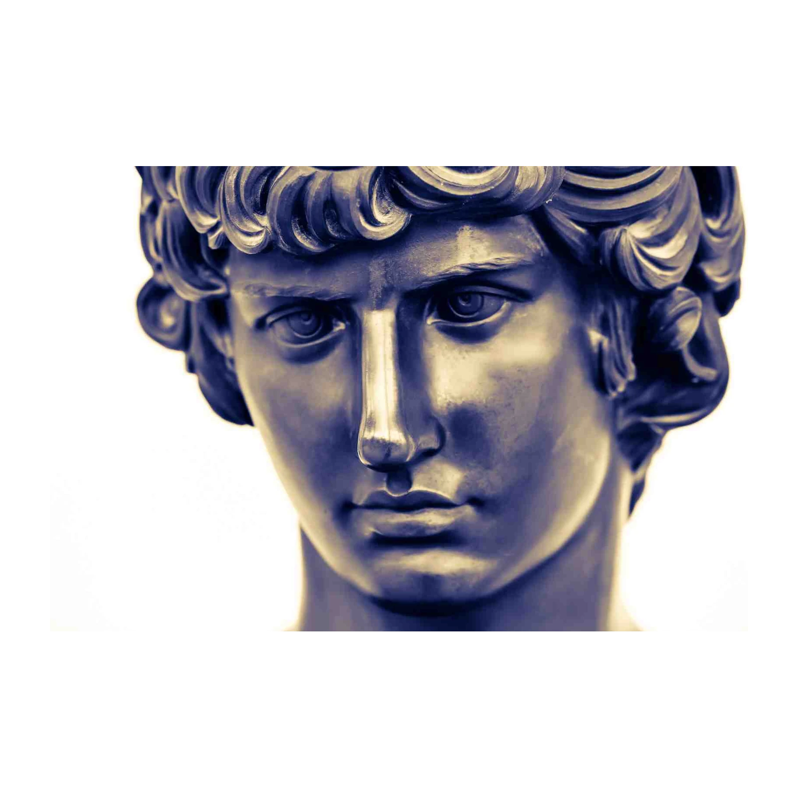 Renaissance David Bust Wall Art Wall Art