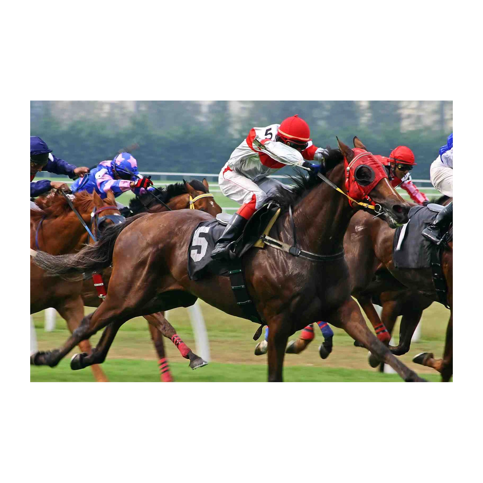 Dynamic Horse Race Action Wall Art