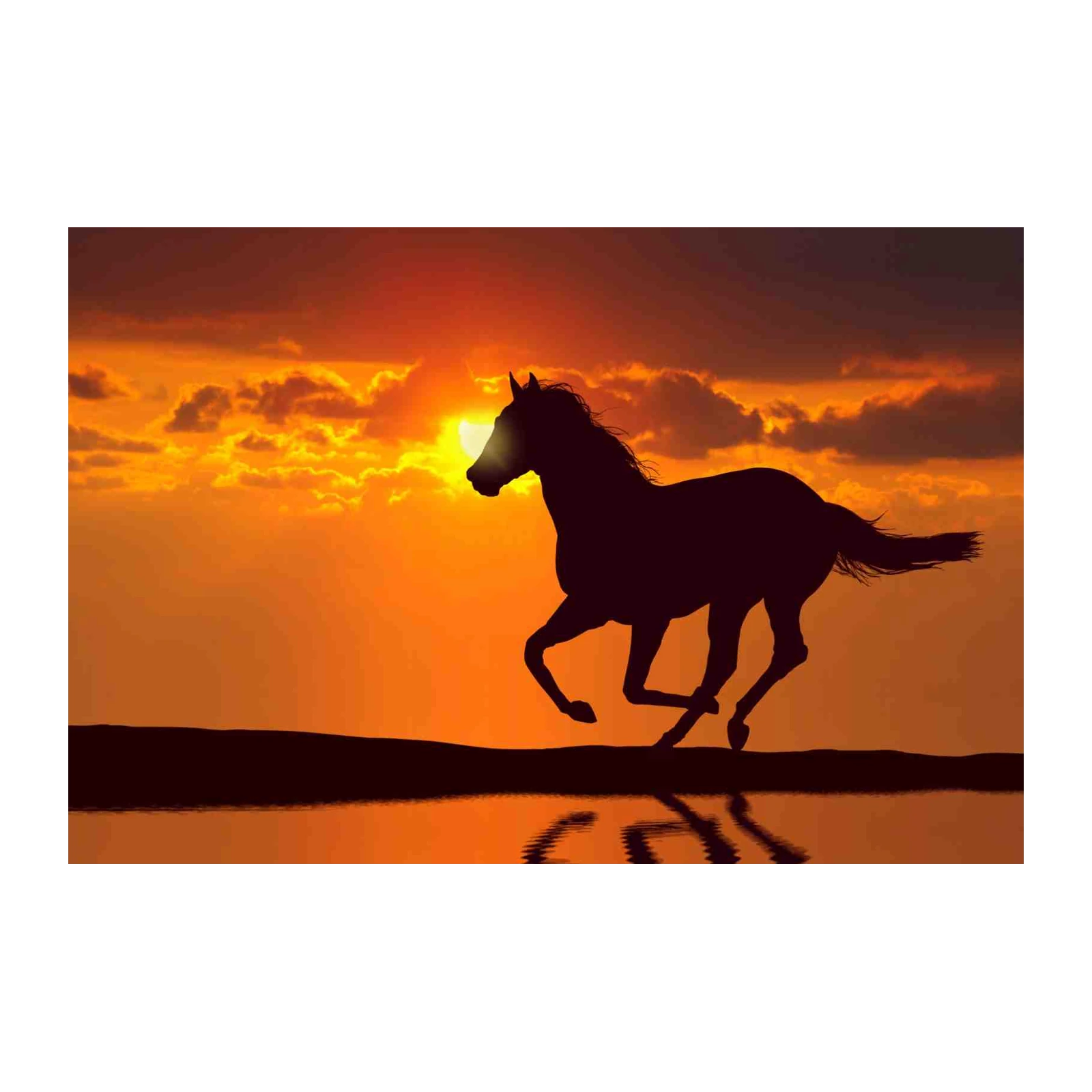 Majestic Horse Sunset Silhouette Wall Art