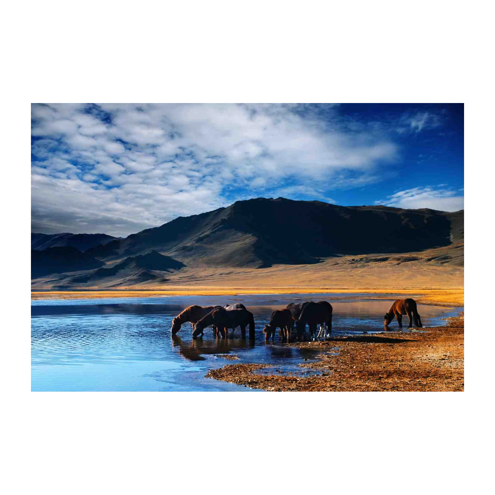 Serene Horses at Mountain Lake Wall Art