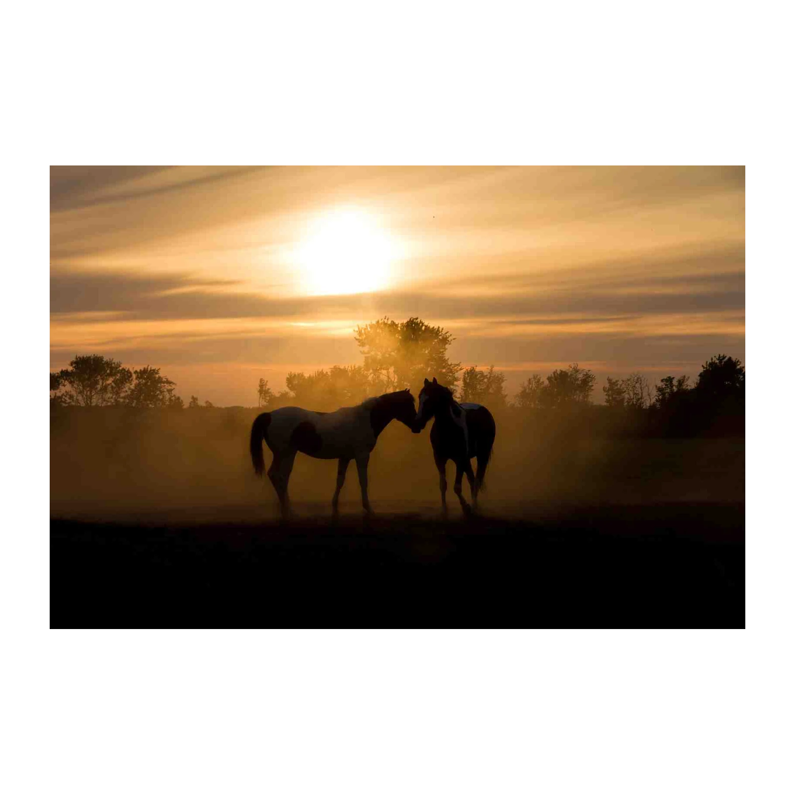 Majestic Horse Bond Sunset Wall Art