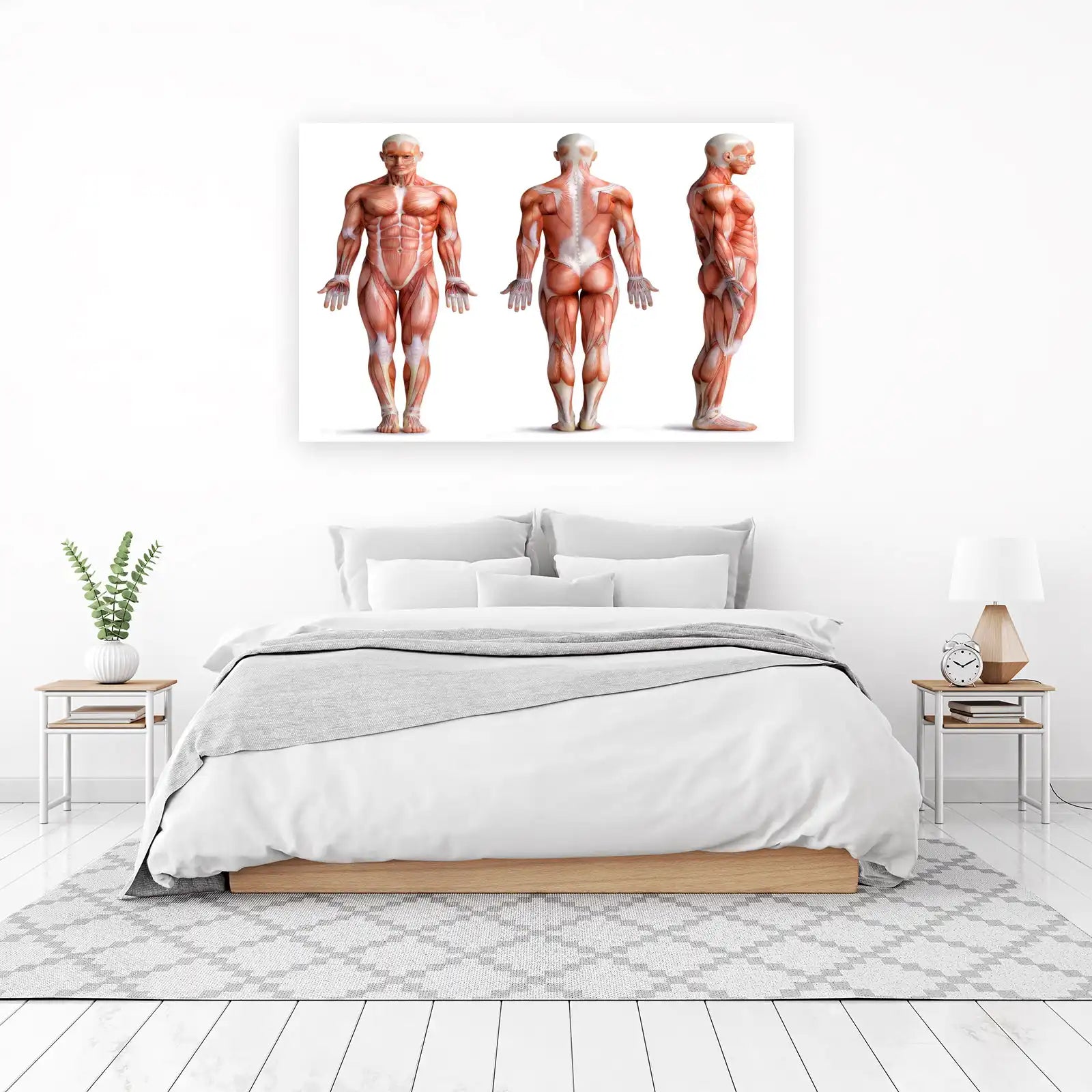 Anatomical Muscle Man 3-View Wall Art