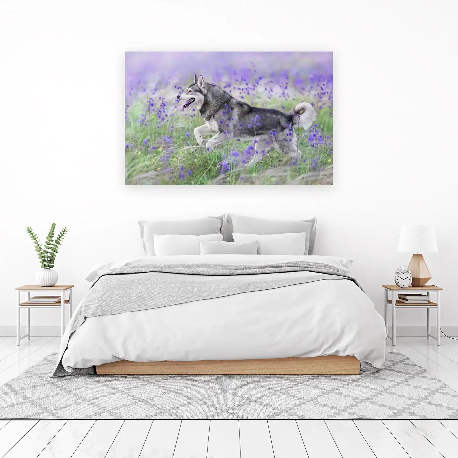 Majestic Husky in Lavender Field Wall Art