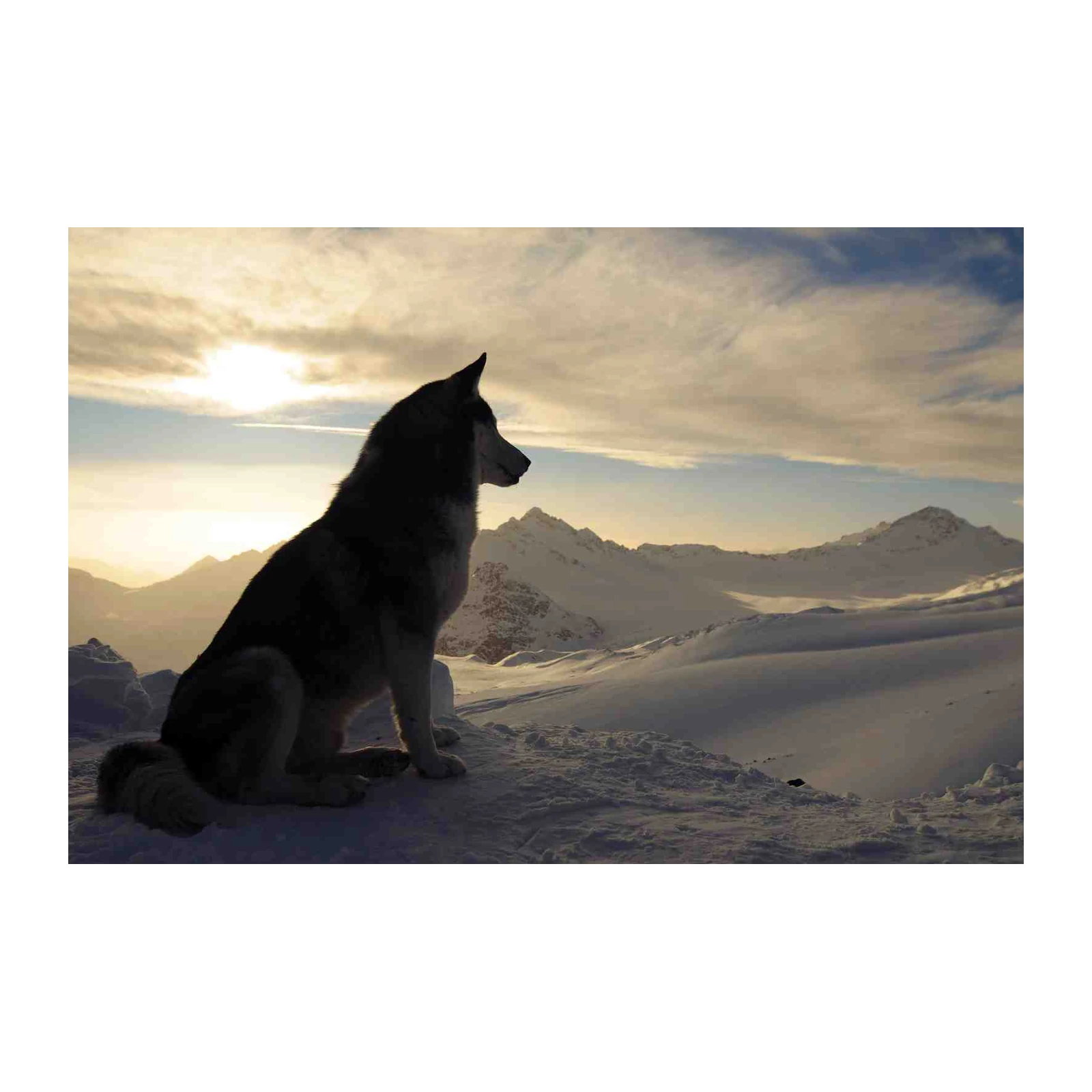 Majestic Husky Mountain Sunrise Wall Art
