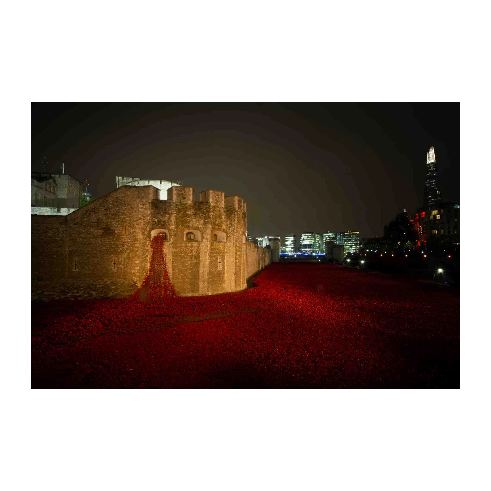Tower of London Poppies Wall Art