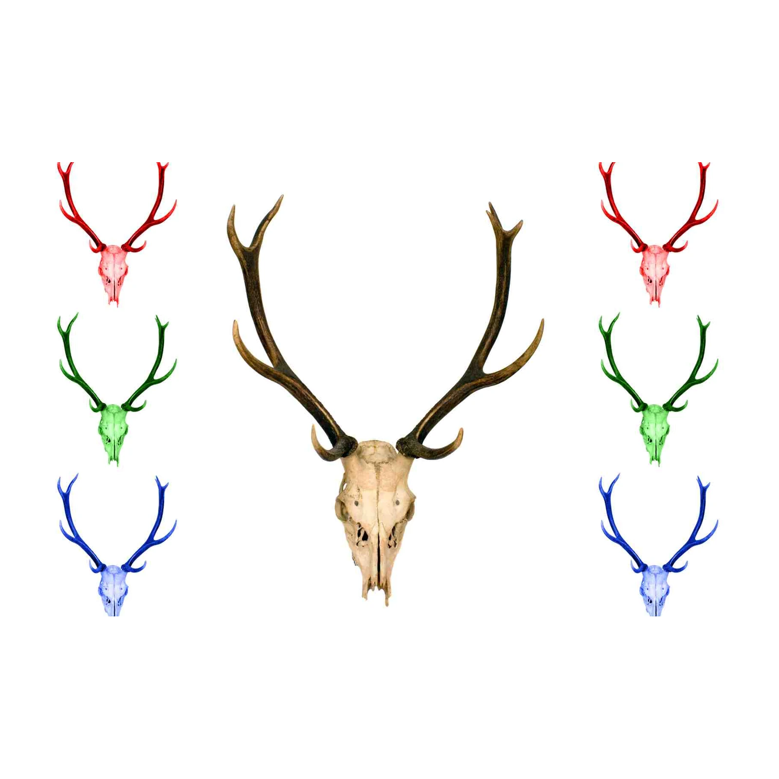 Majestic Deer Skull & Antler Wall Art Wall Art