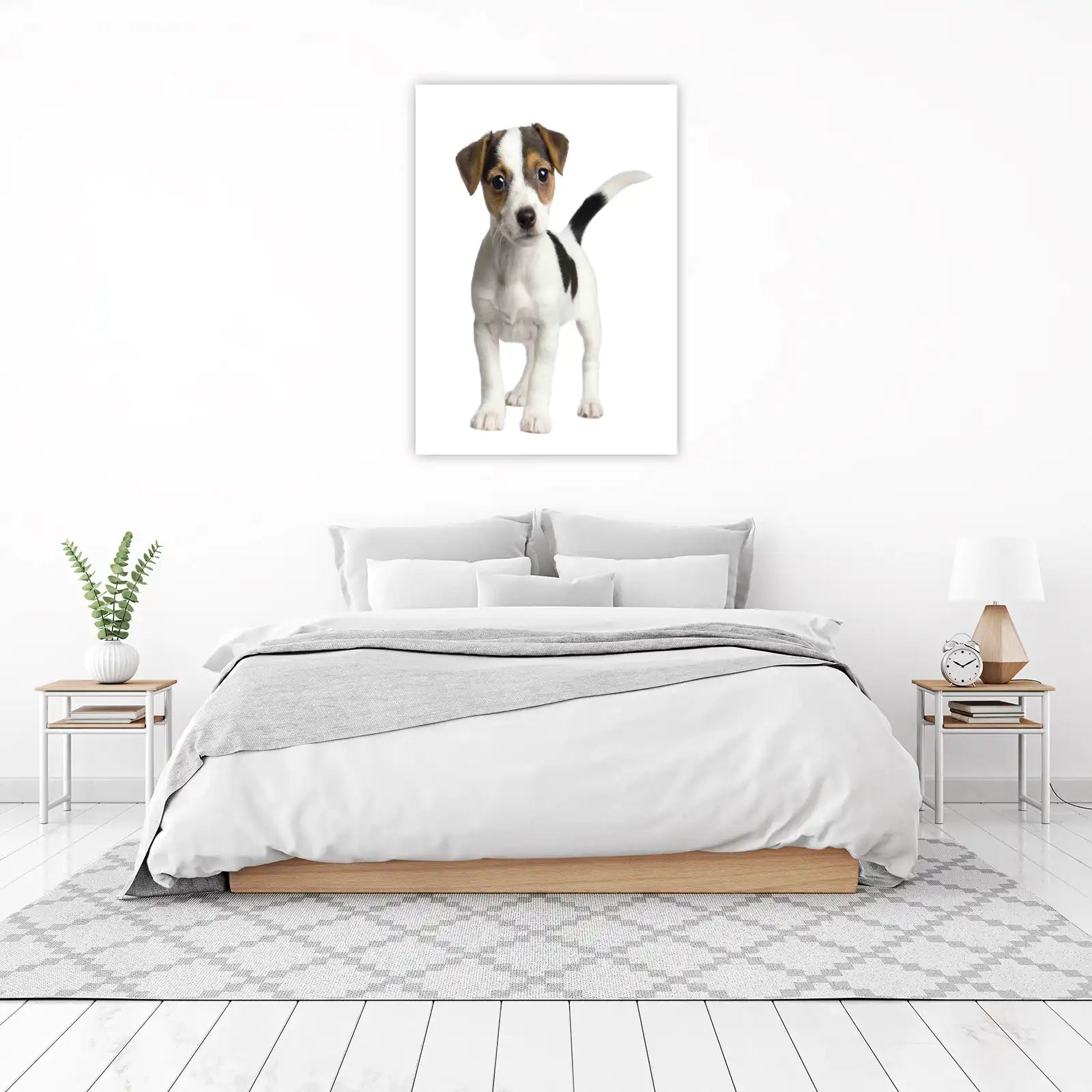 Adorable Jack Russell Terrier Puppy Wall Art