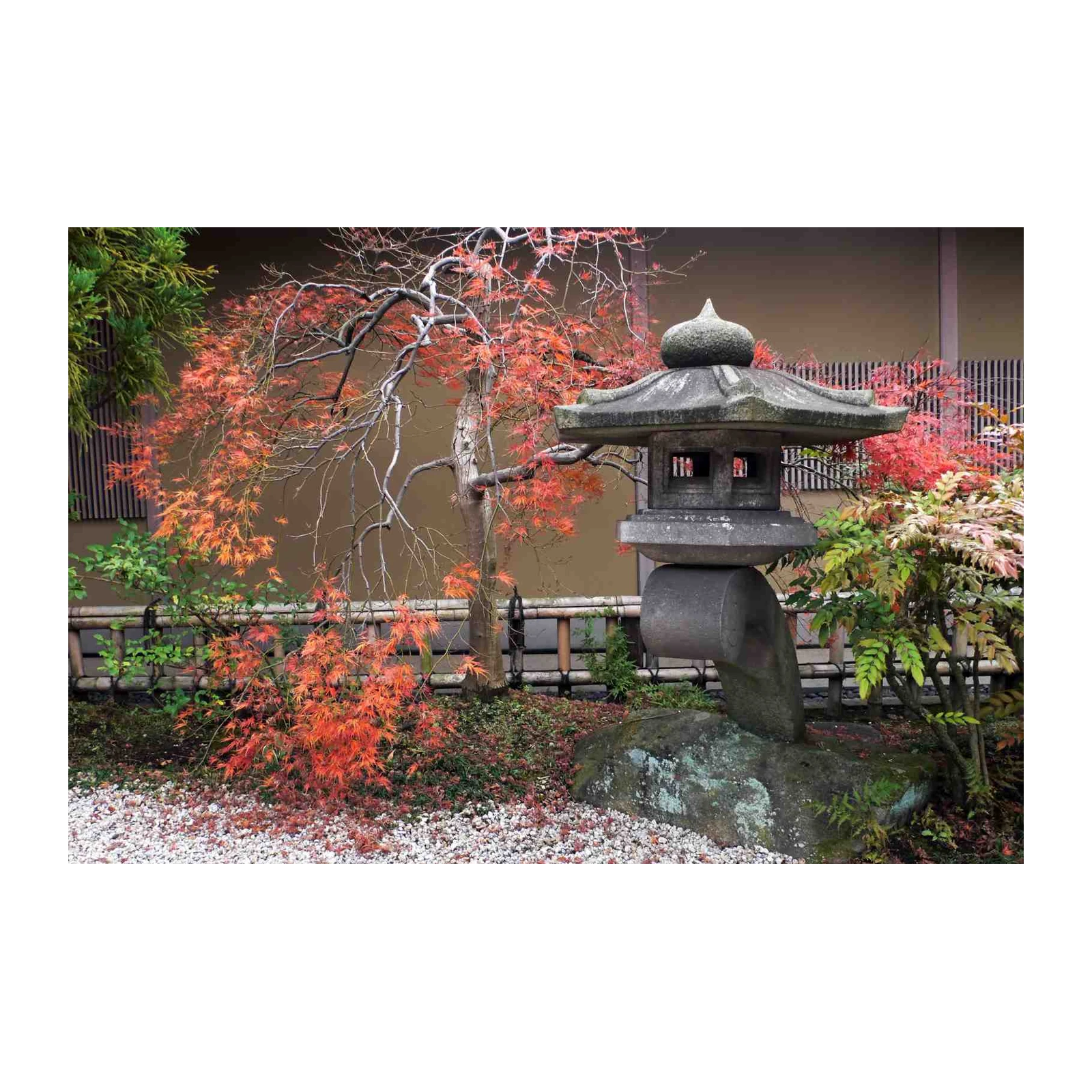 Serene Japanese Garden Maple Autumn Wall Art