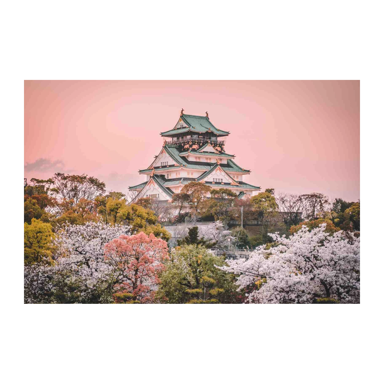 Japanese Castle Cherry Blossom Wall Art