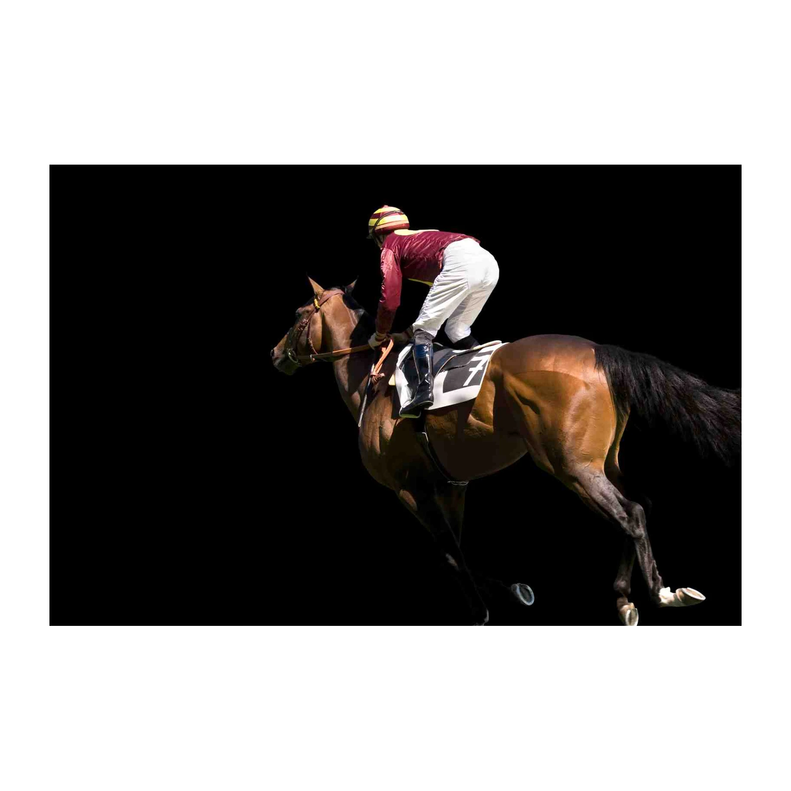 Majestic Horse Racing Jockey Wall Art