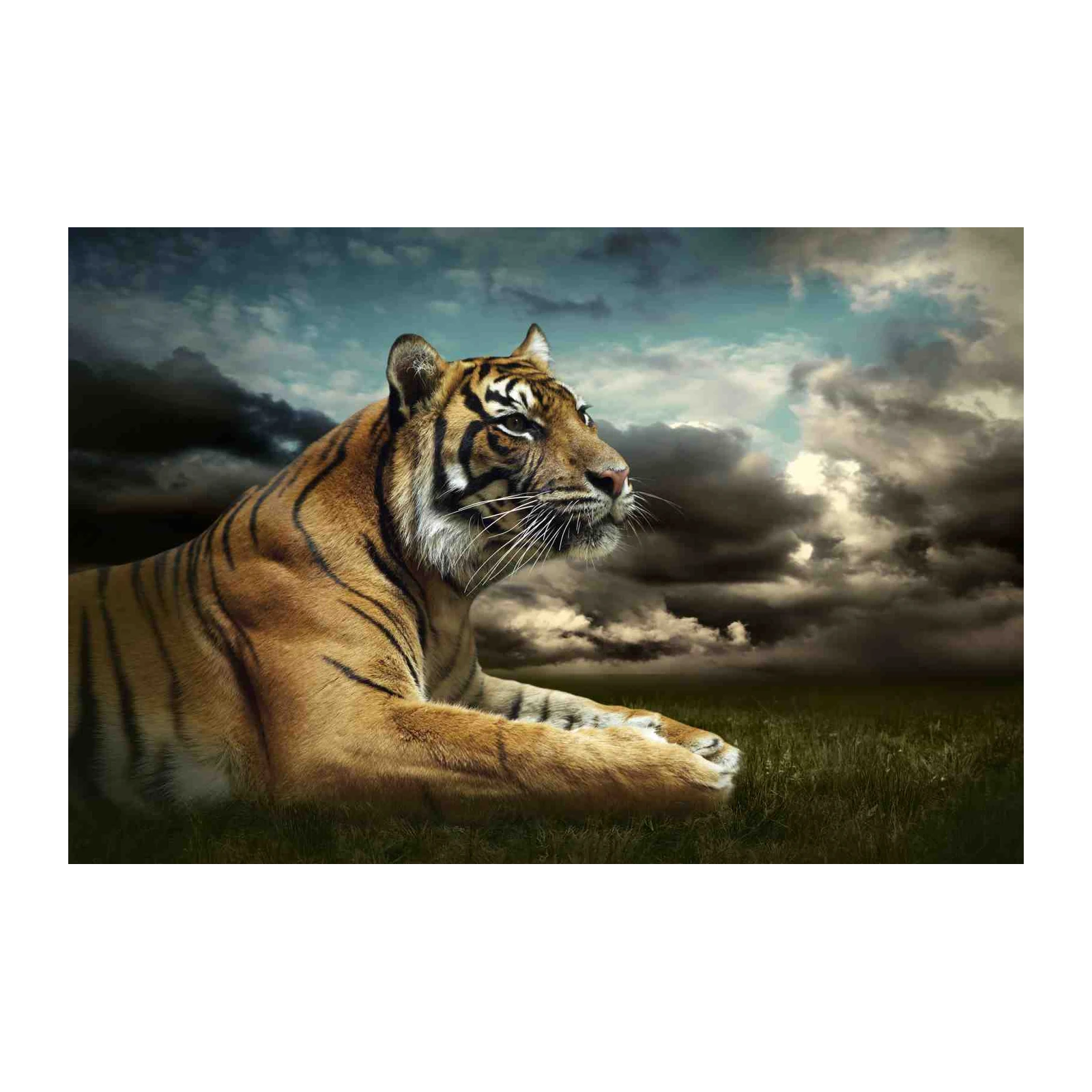 Majestic Tiger Landscape Wall Art
